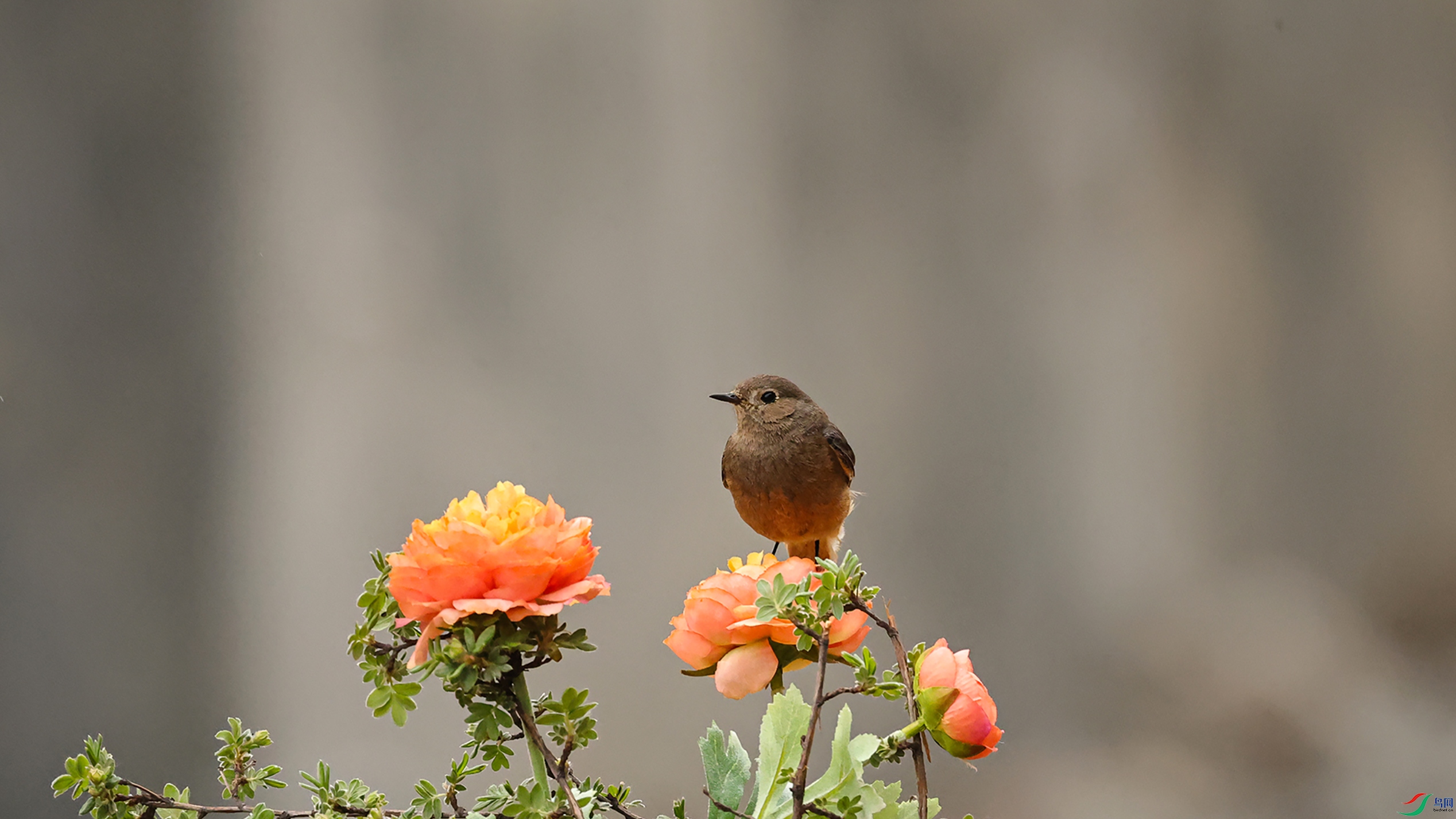 7X5A3150 ����0000.jpg