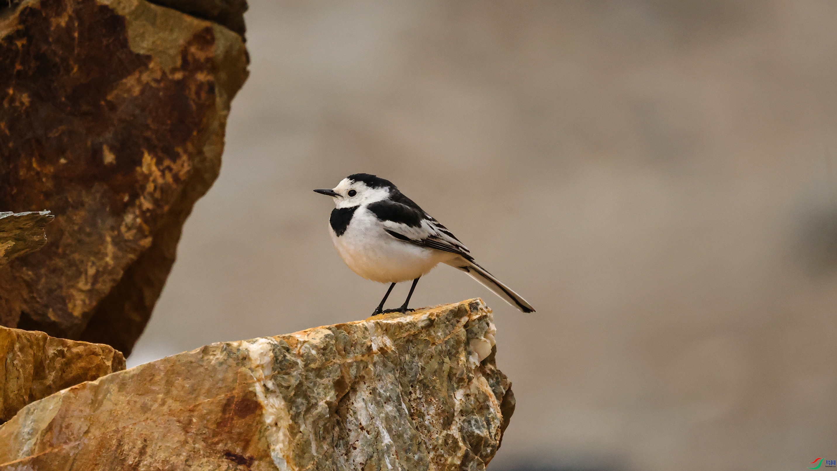 7X5A3089 ����99.jpg