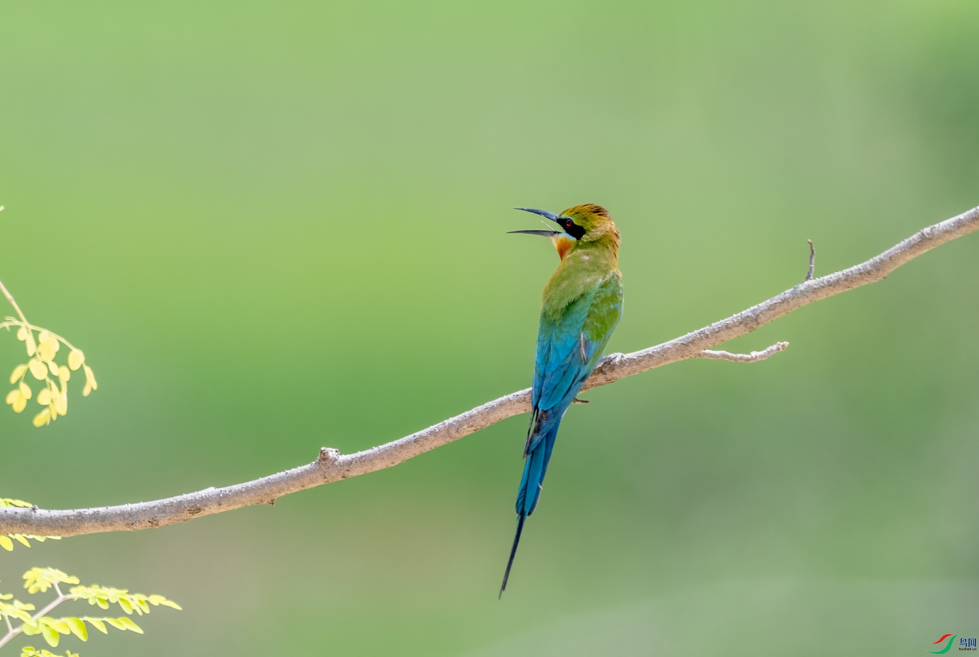 DSC_9725.jpg