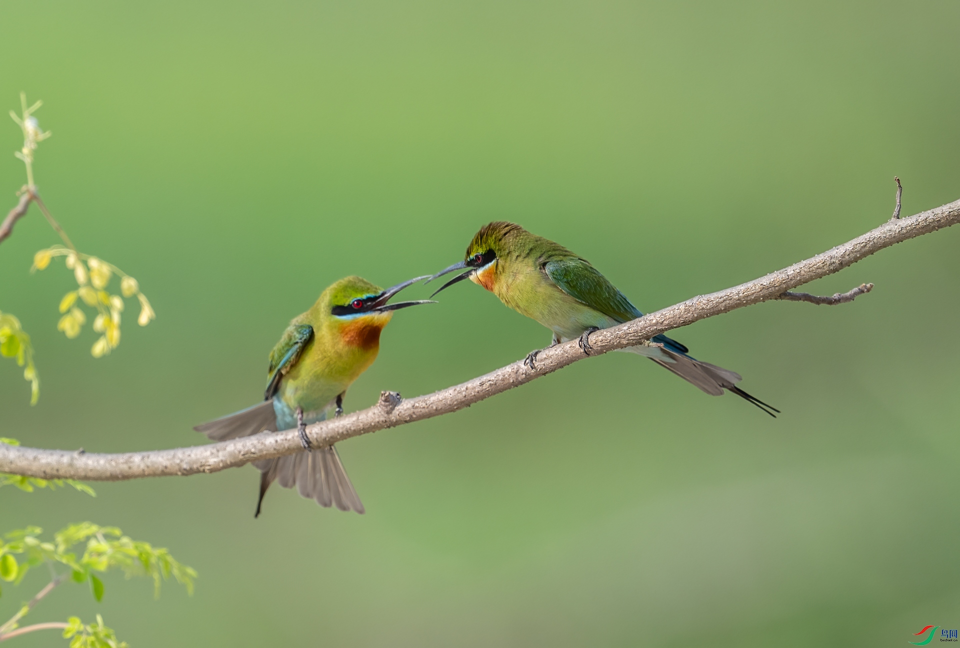 DSC_7502_1.jpg