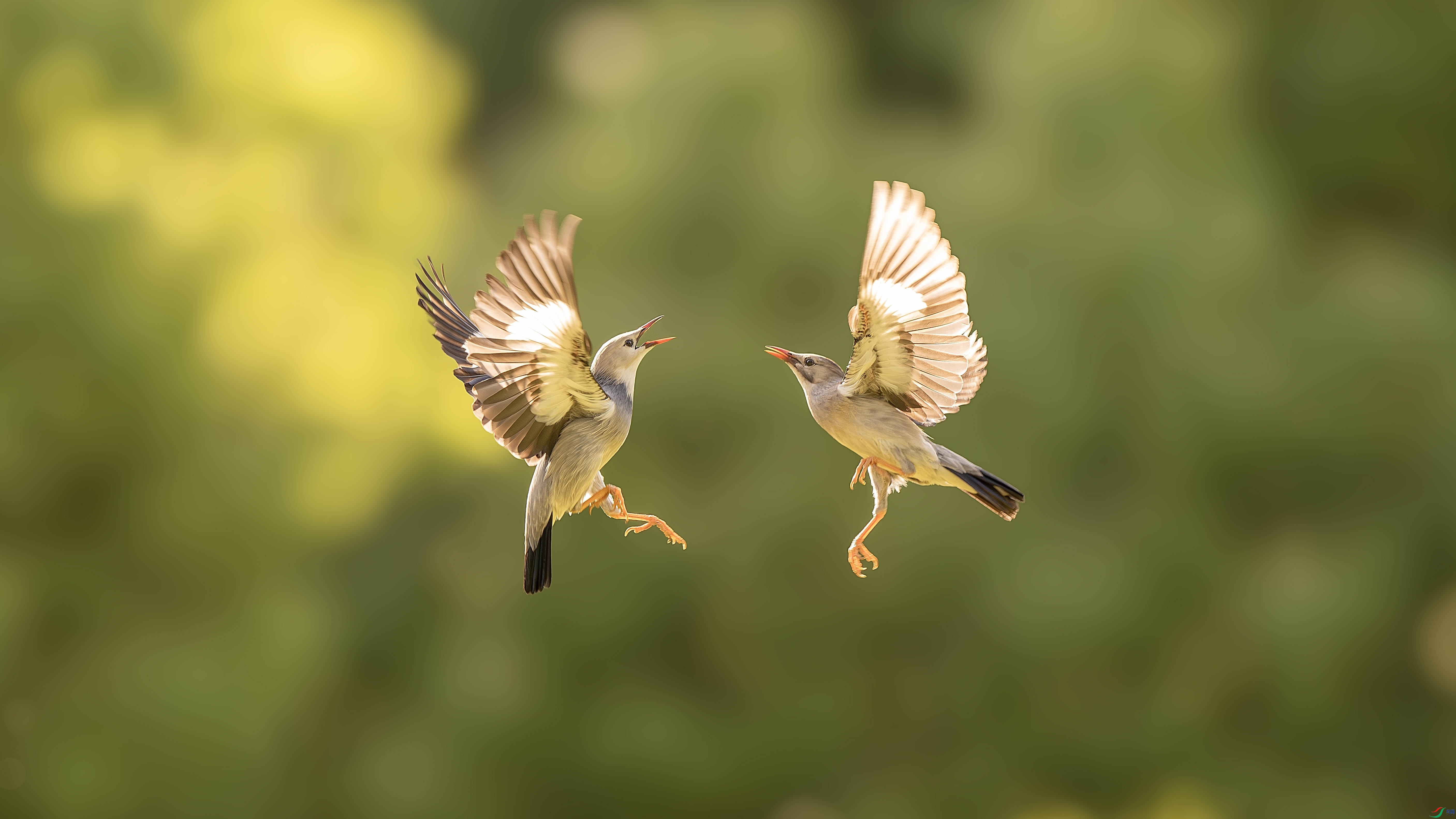 DSC_2754-����ǿ-NR-1 ���� 2.jpg