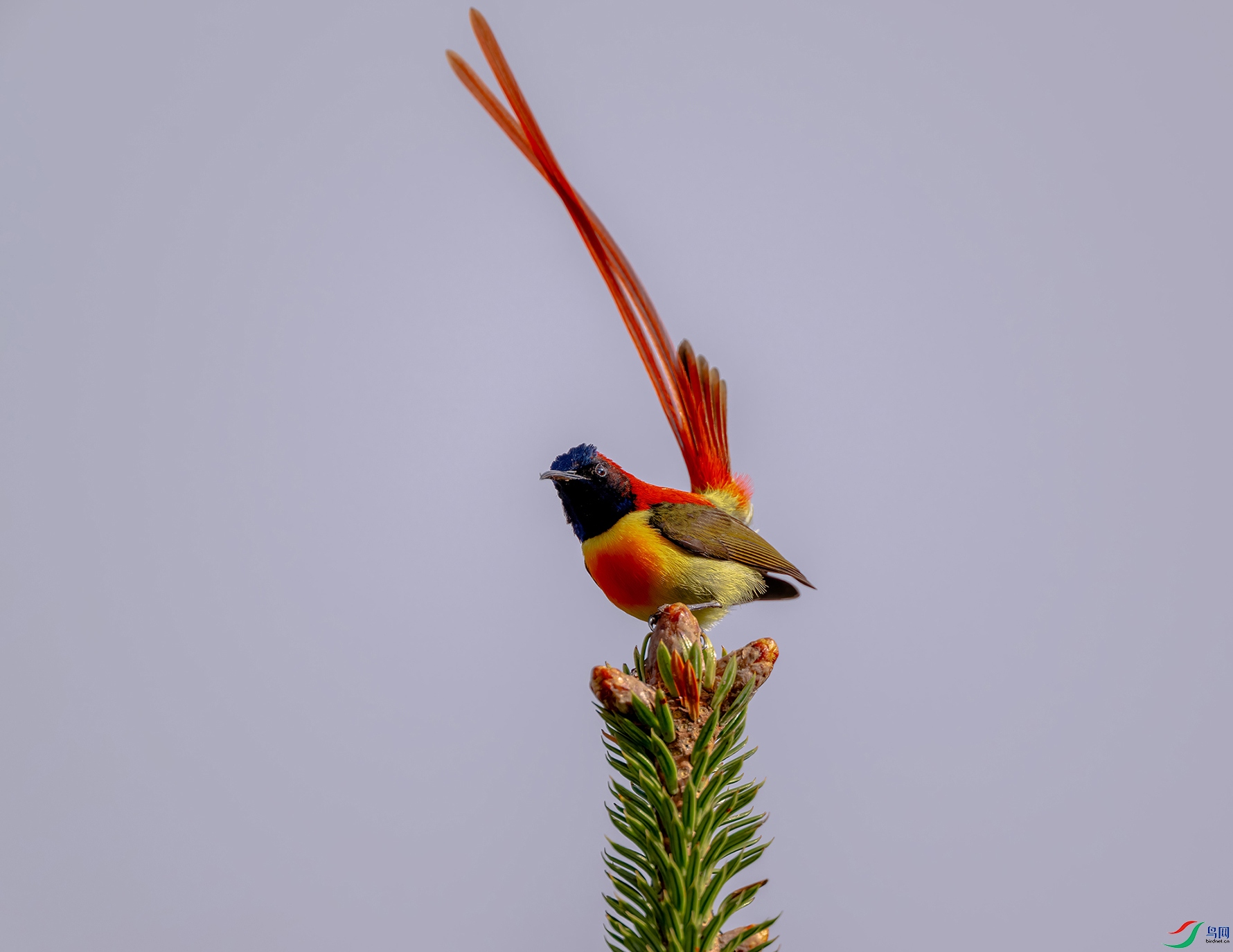 ��л��λ��ʦ����ָ��