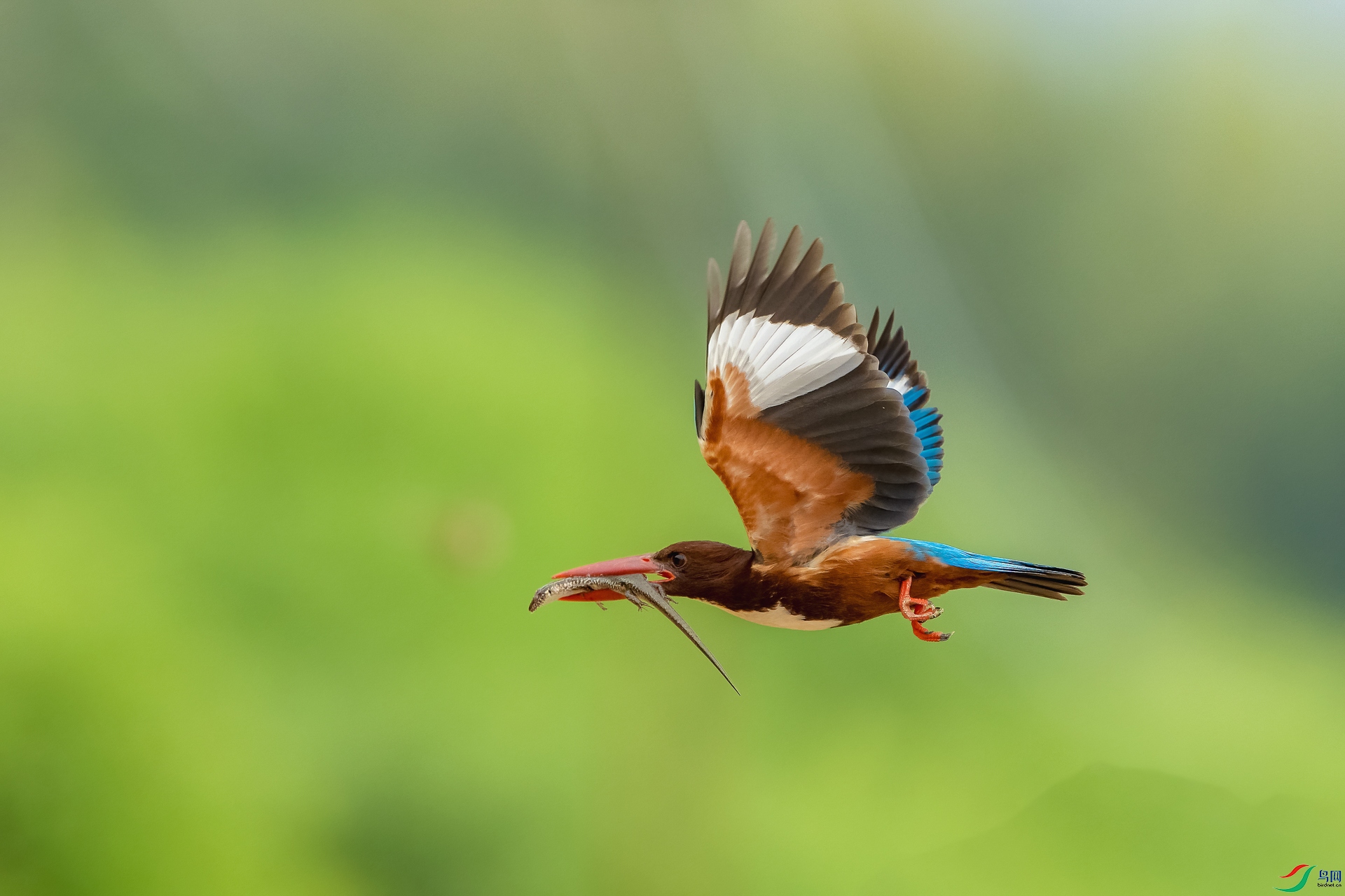 _DSC3525 ����_1.jpg