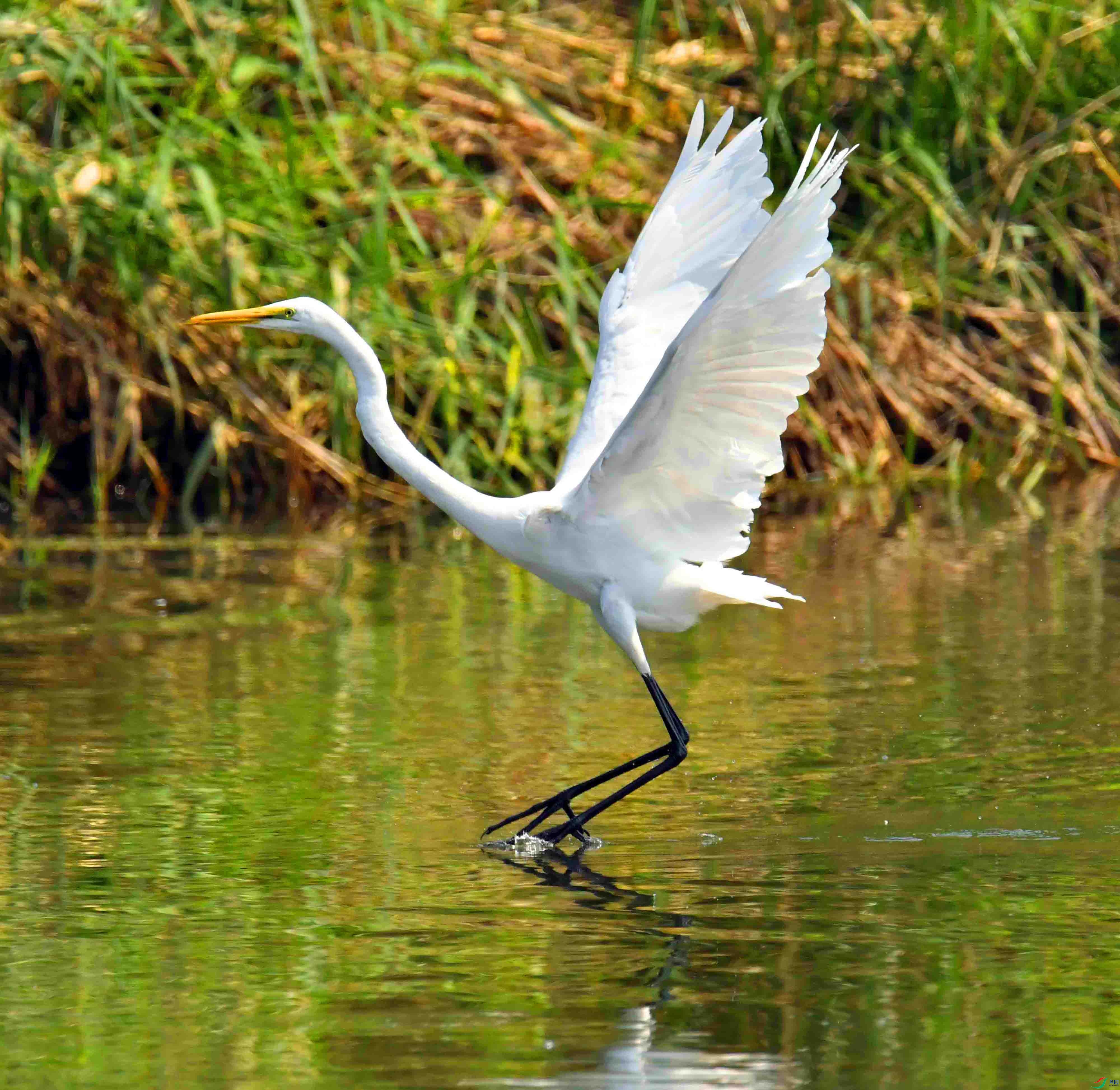 DSC_0482.JPG