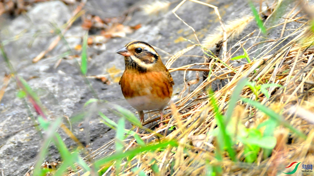 DSC_6389.JPG
