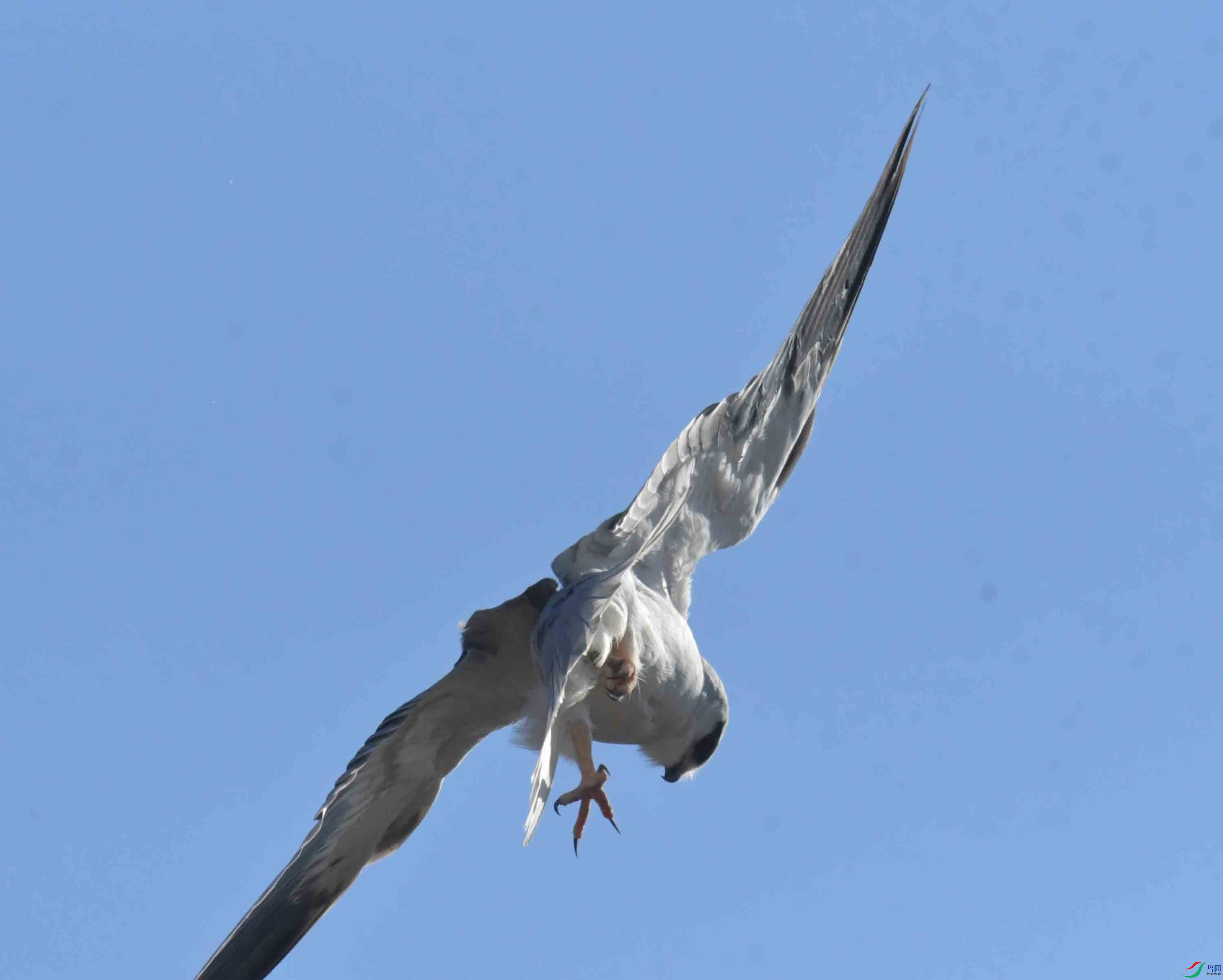 DSC_7621.JPG
