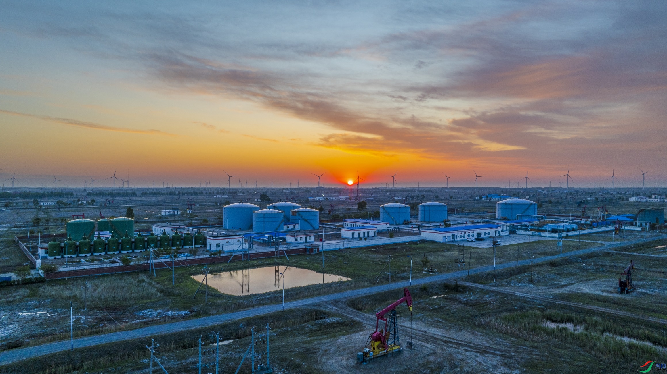 dji_fly_20240520_040456_86_1716150134061_photo ����1.jpg