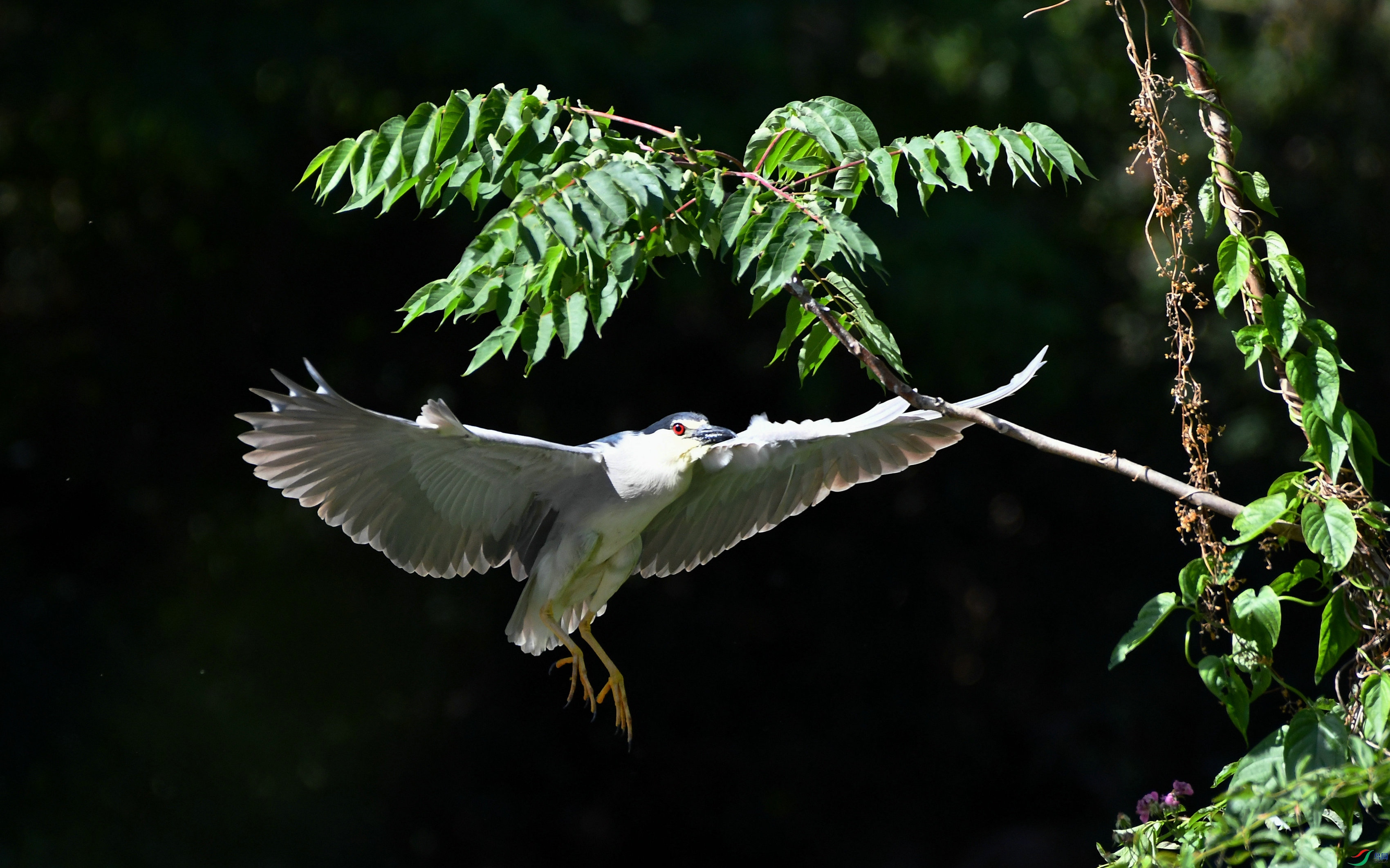 DSC_7595.JPG