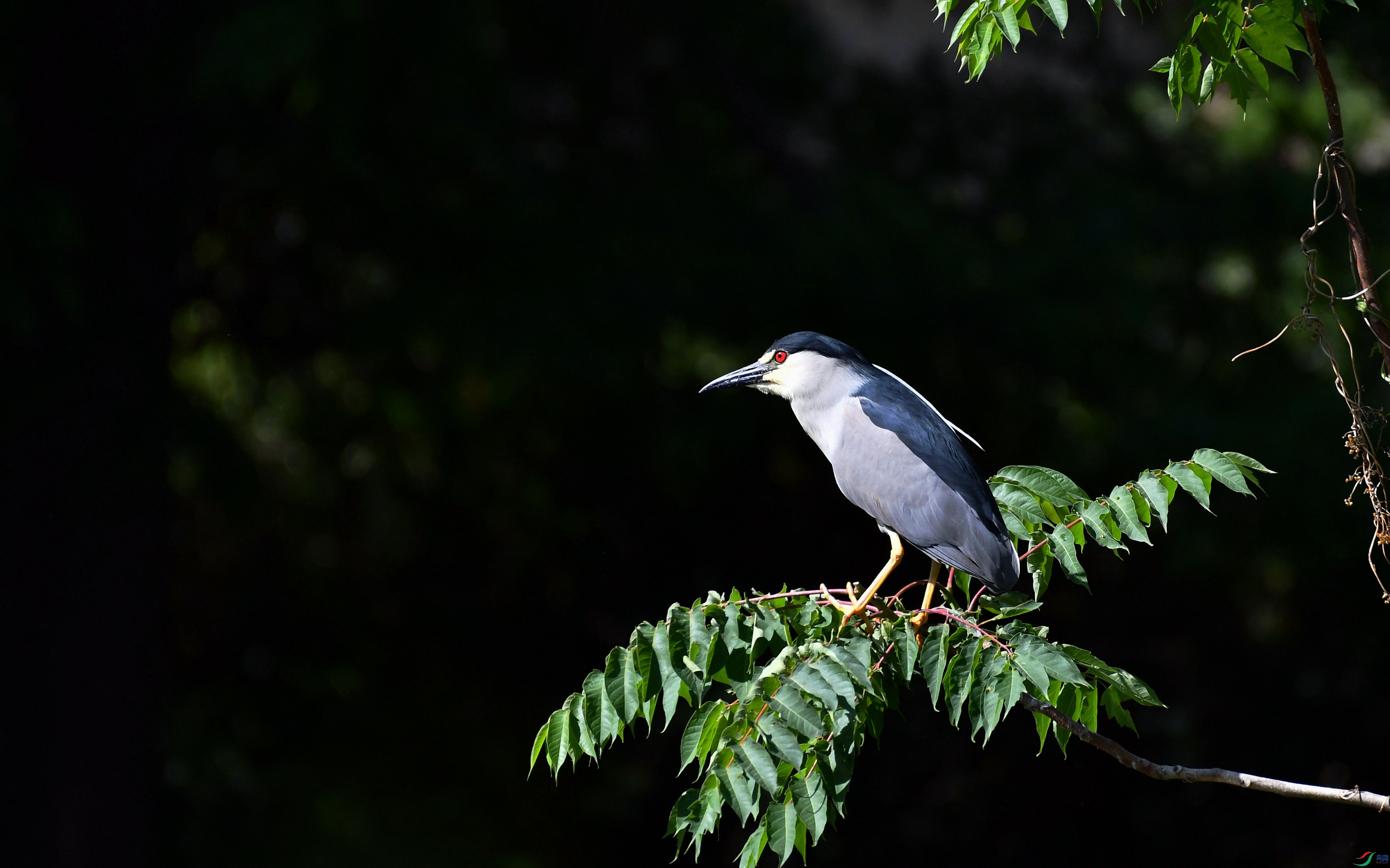 DSC_7618.JPG