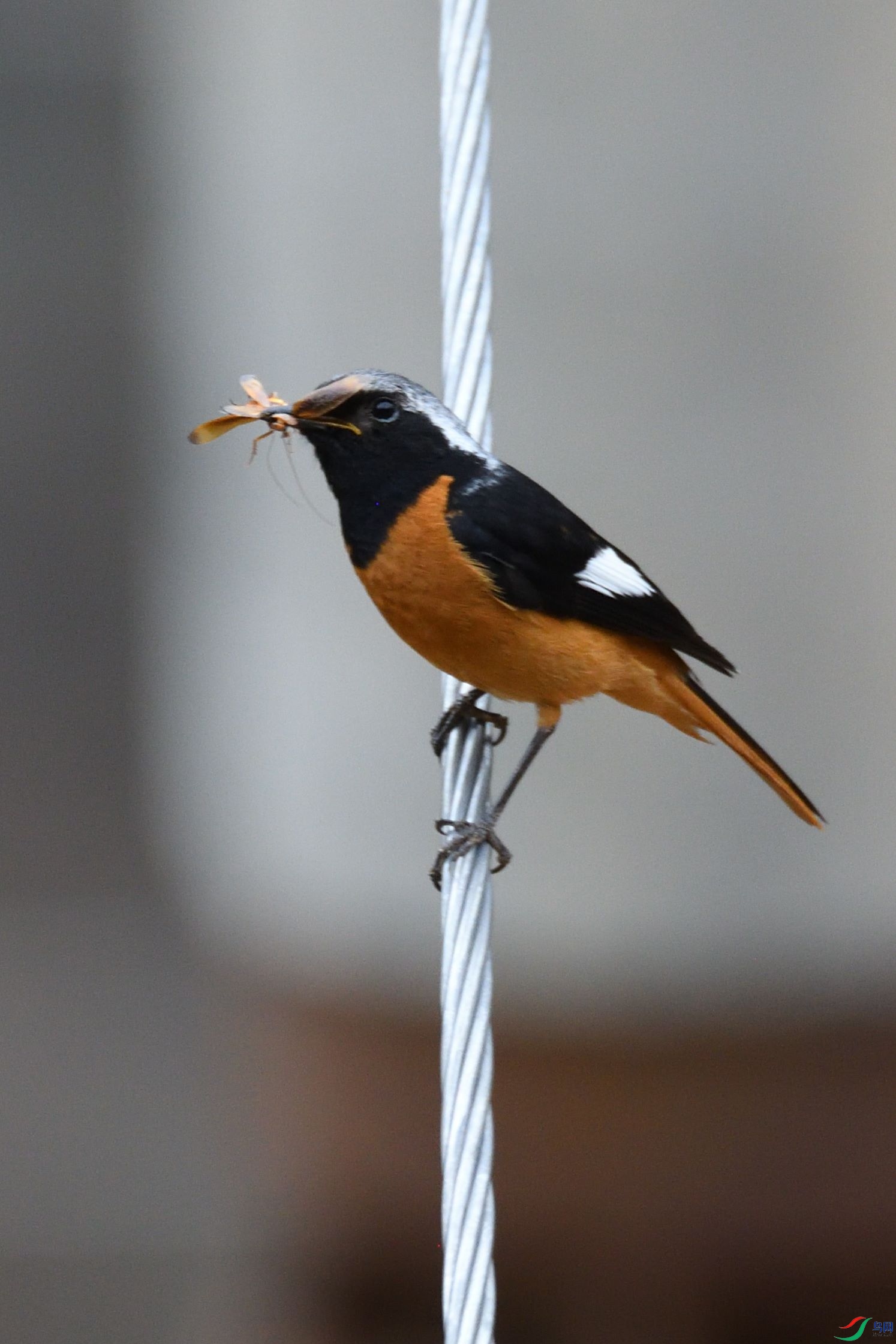 DSC_5071_00002.jpg