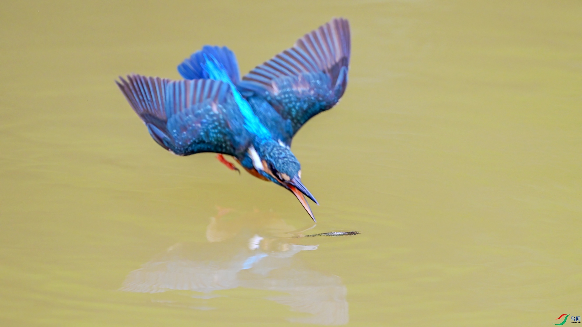 Z10_4456.jpg