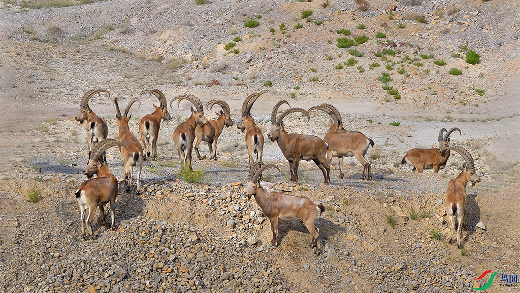 DSC_3792 ����.jpg