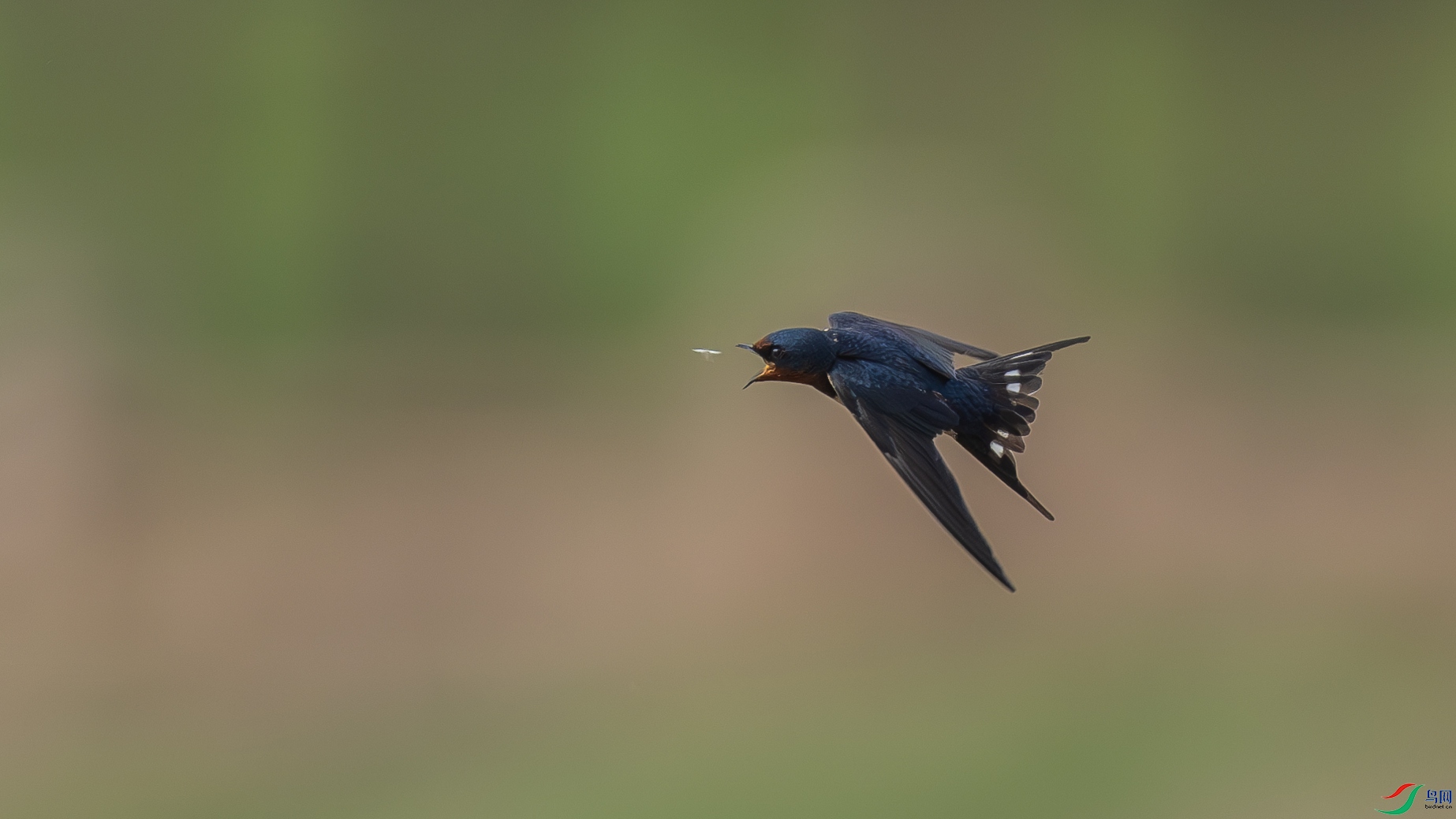 DSC01235-.jpg