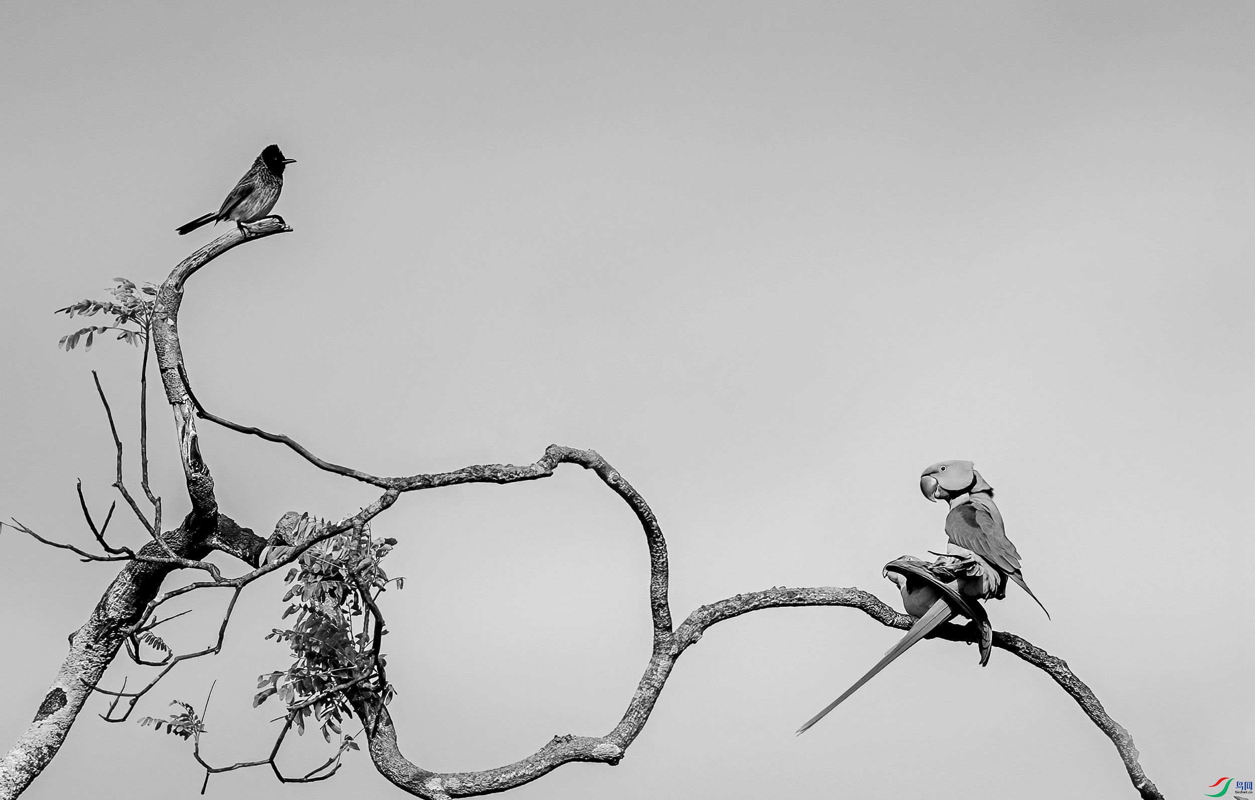 AC3I3678 ����_����.jpg