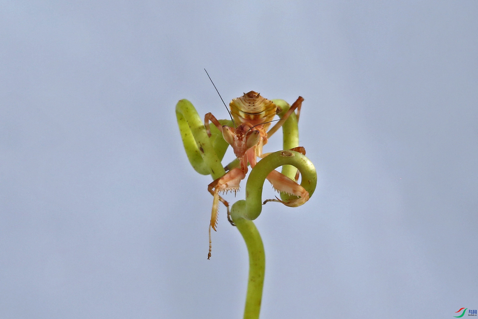 N38A7520.jpg