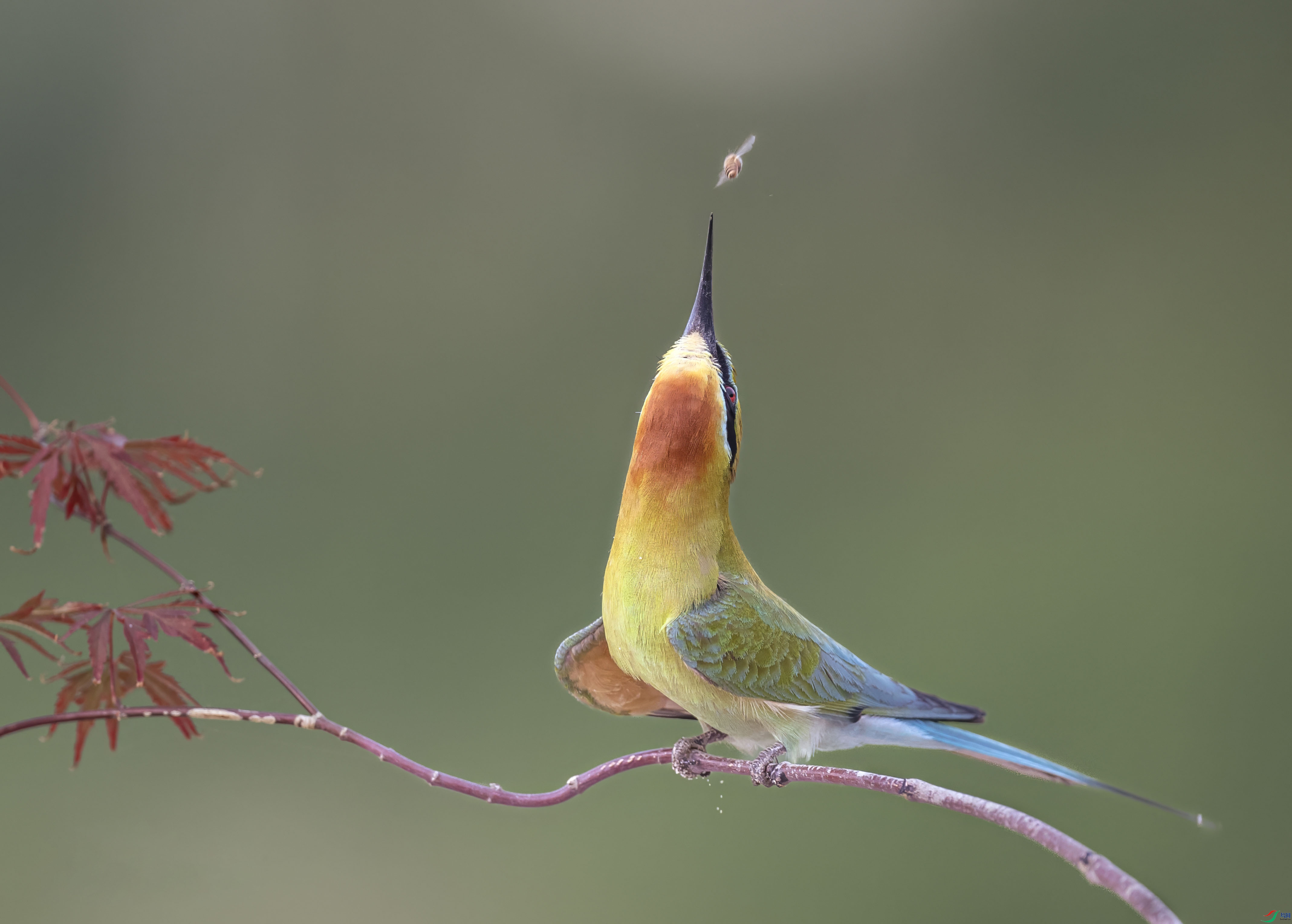 DSC_3394 ����2.jpg