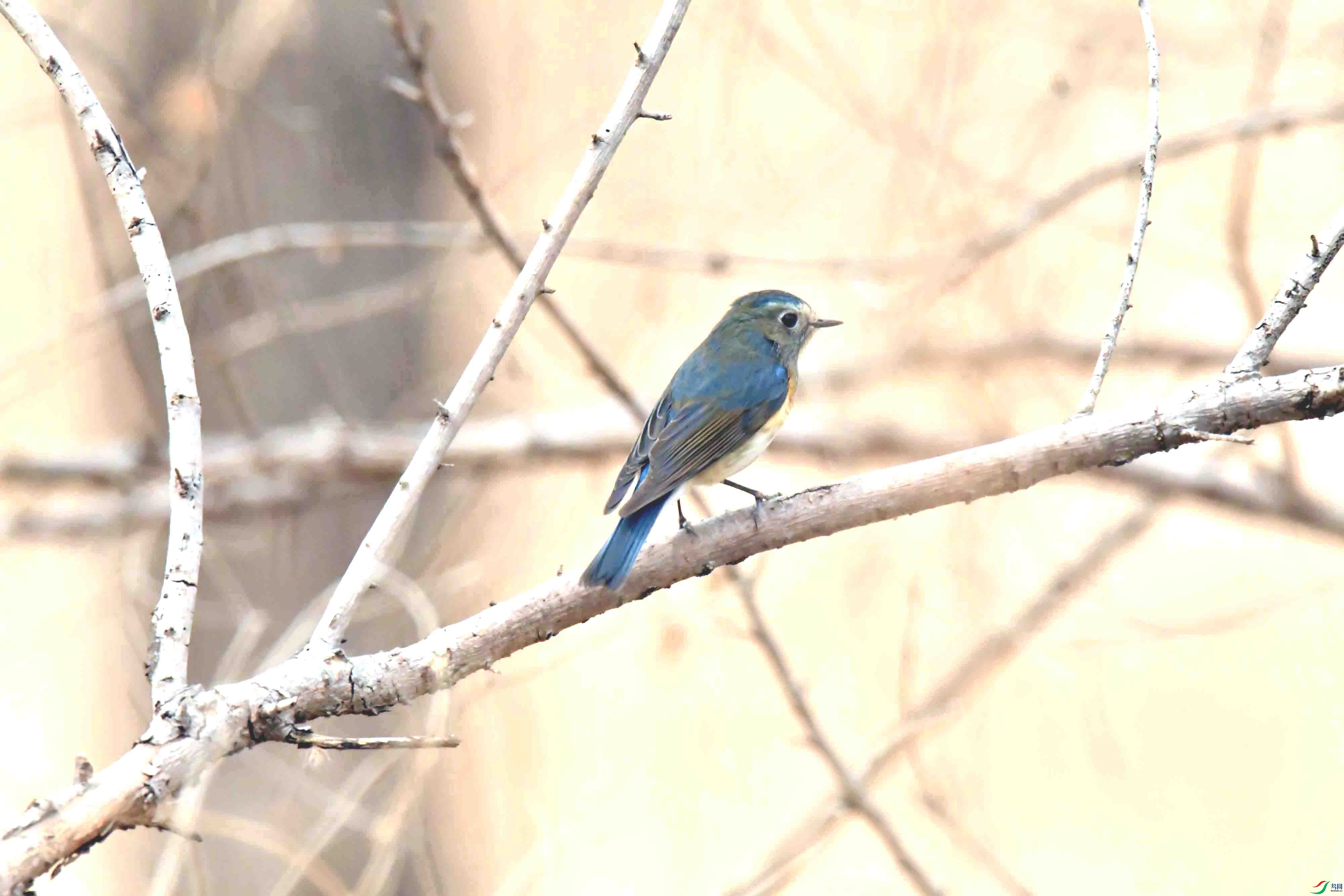 DSC_3556.JPG