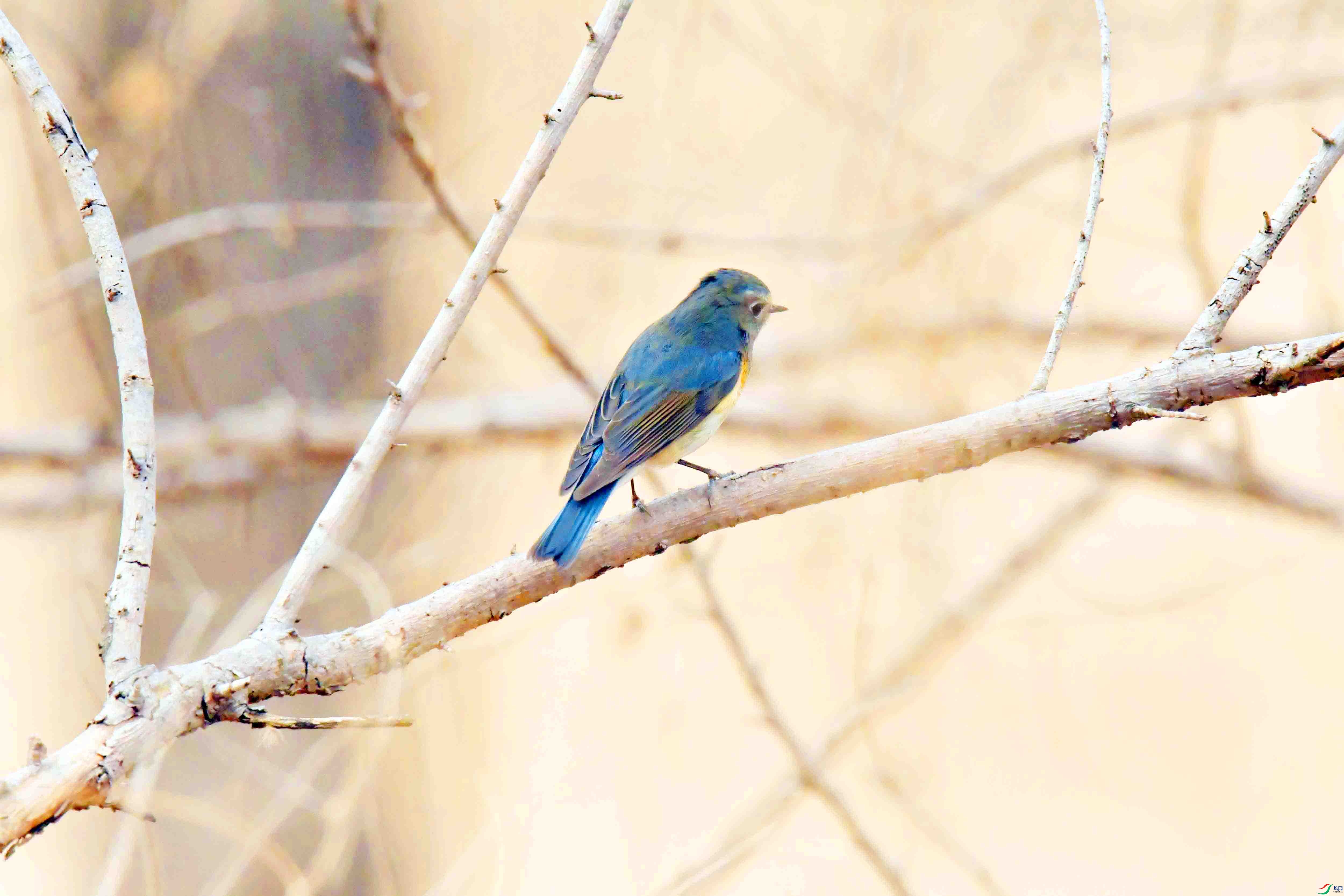 DSC_3557.JPG