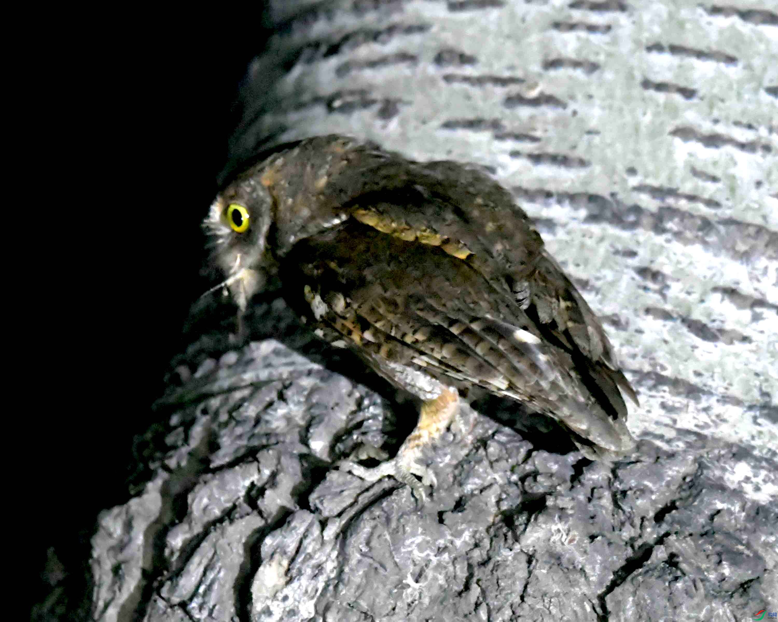 DSC_1734.JPG