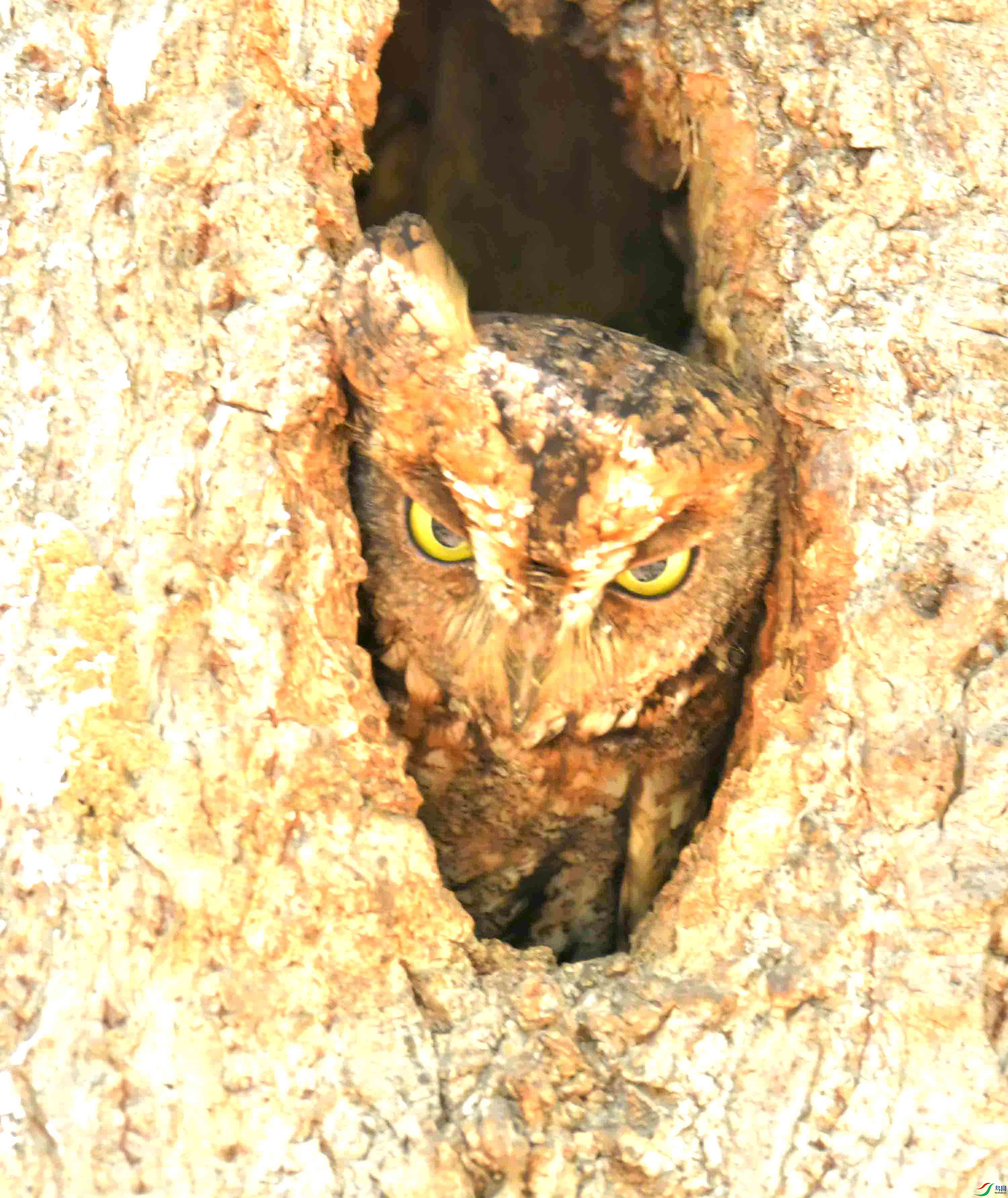 DSC_8146.JPG