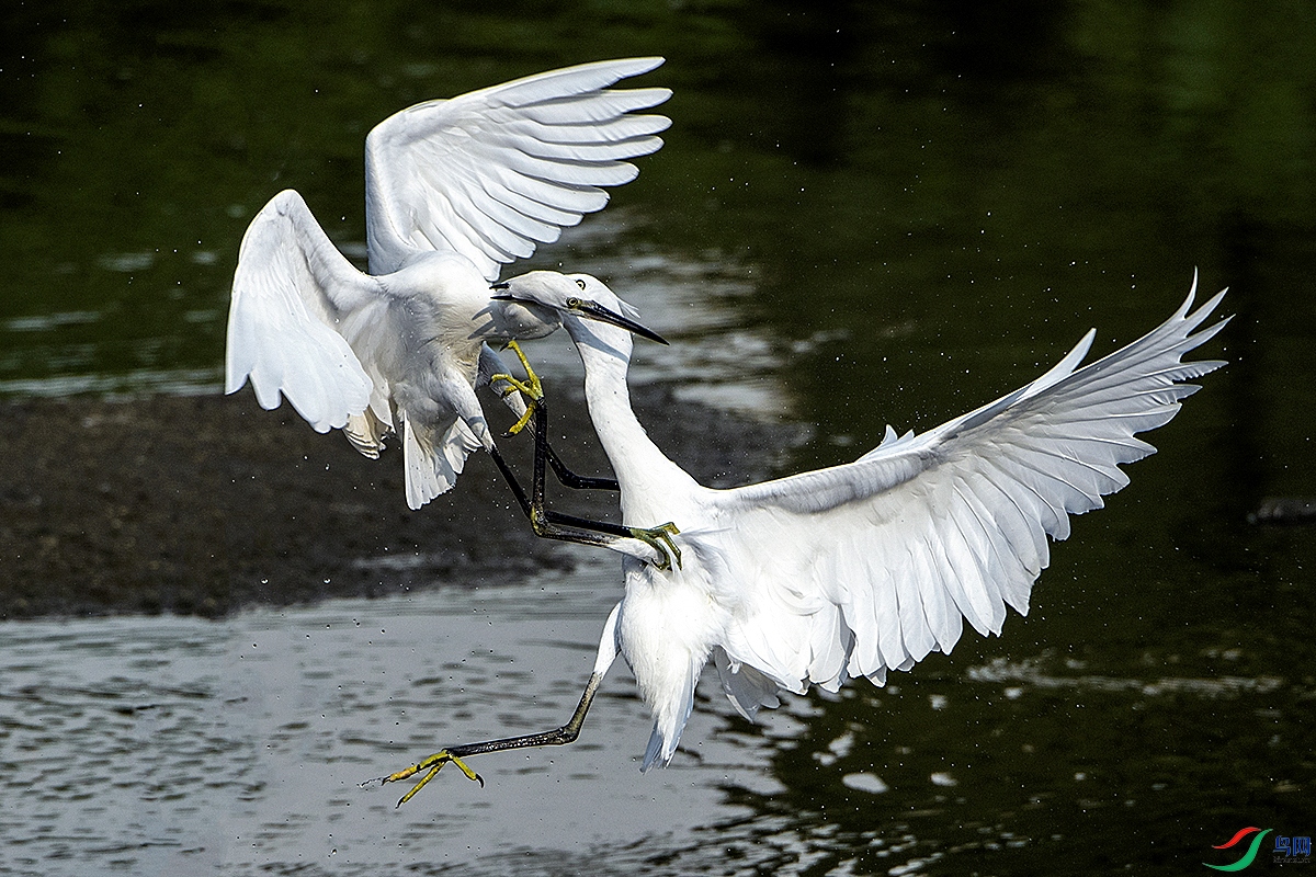 _DSC1508---.jpg