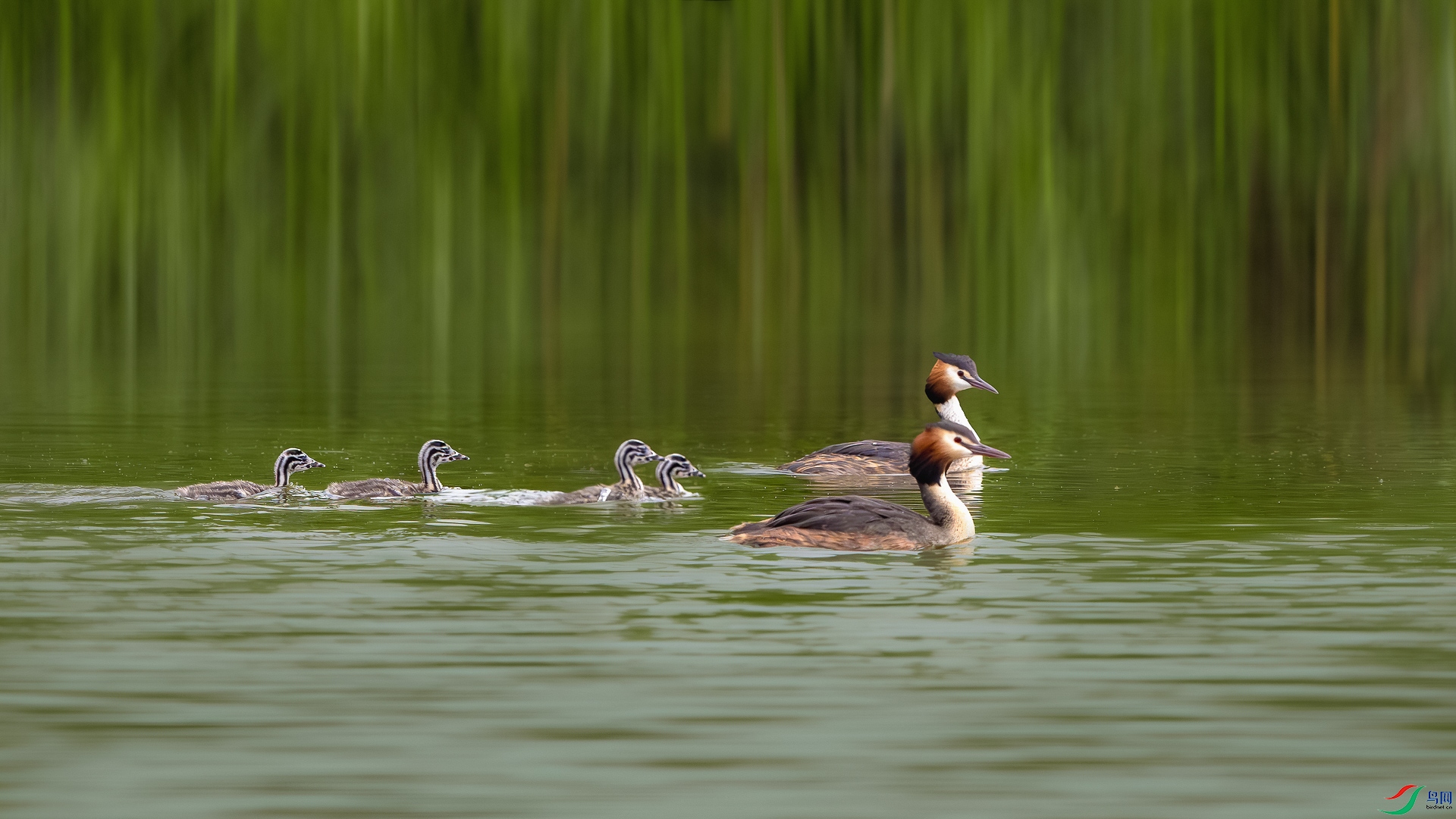 _DSC8617-����ǿ-NR ����.jpg