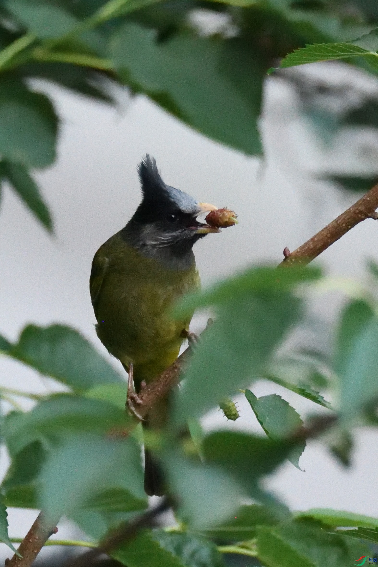 DSC_4702_00002.jpg