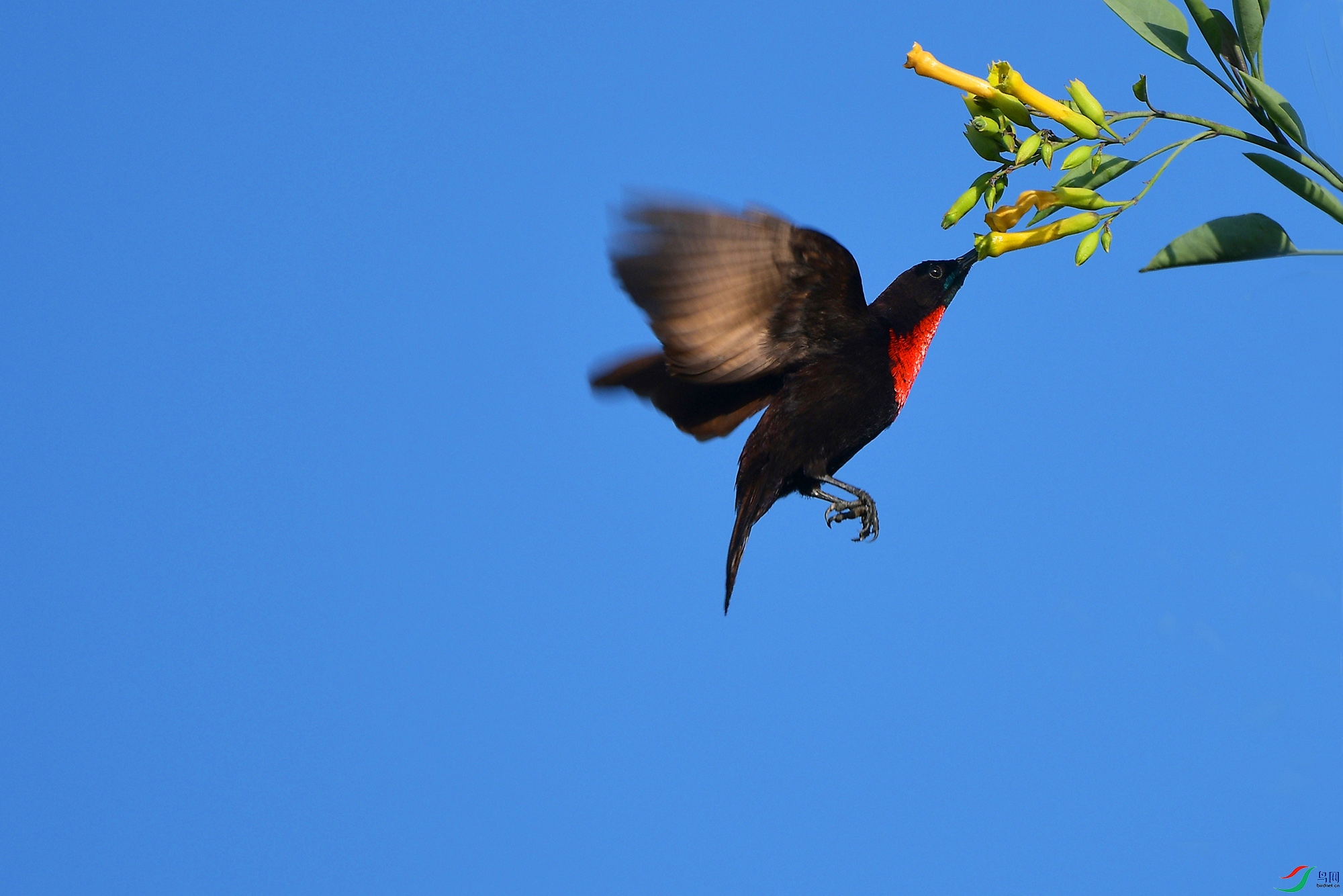 DSC_0185.JPG