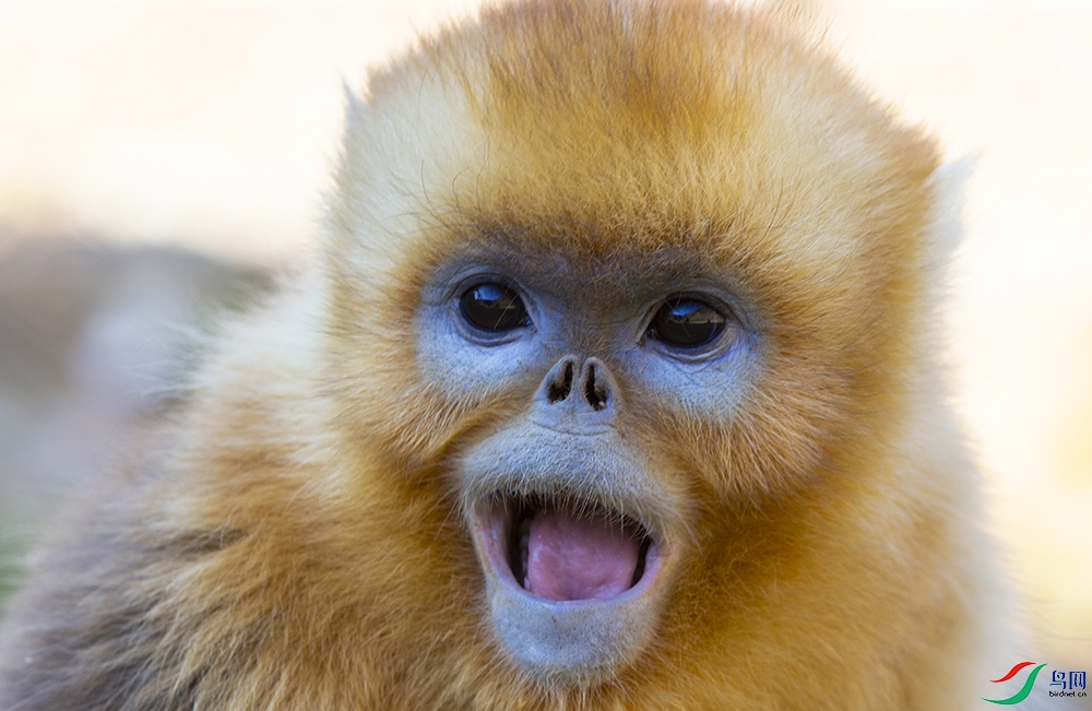 ��˿�� (4).jpg