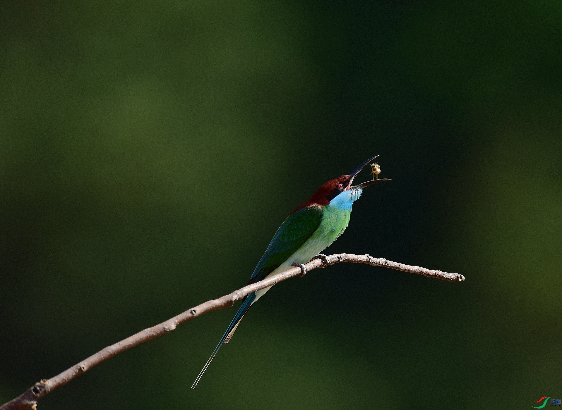 D8I_6073.jpg