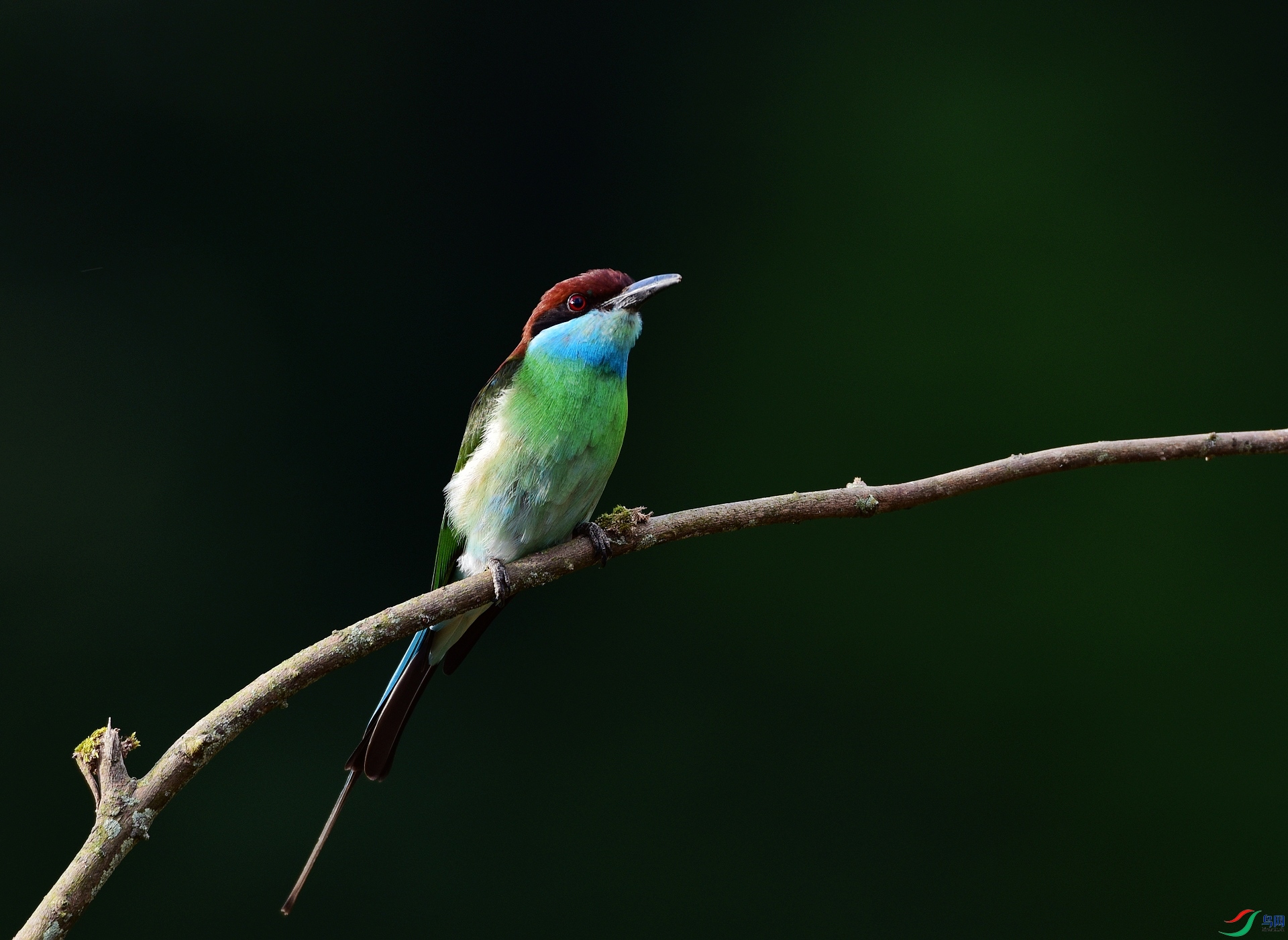 D8I_8086.jpg