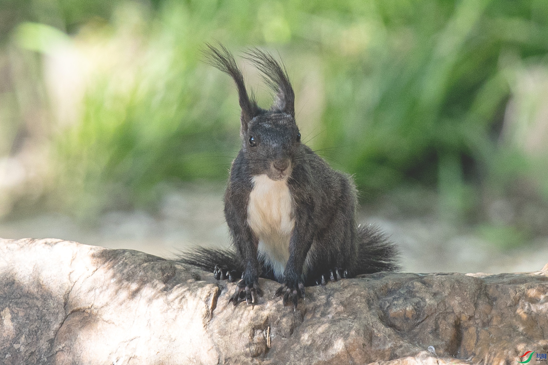 _90I6584 ����.jpg