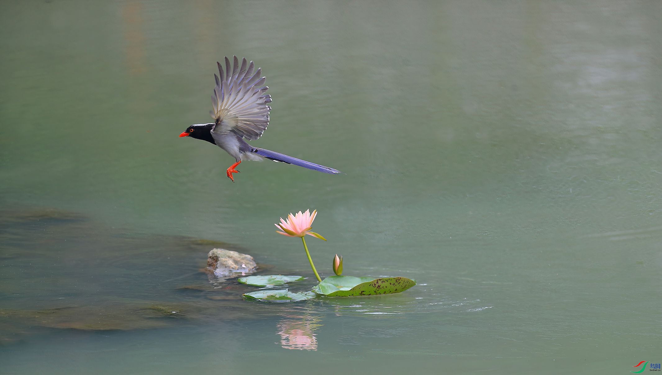 B43I5382-SharpenAI-Motion.jpg