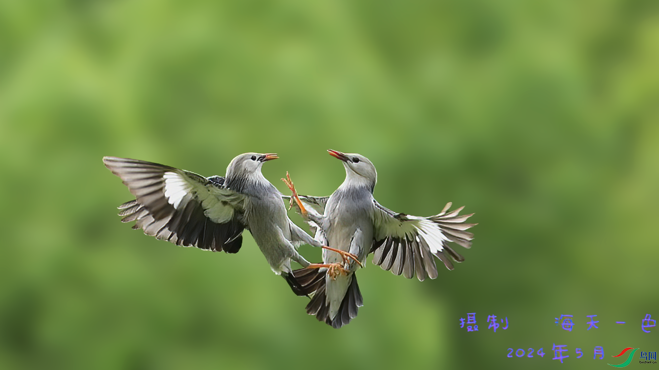 ����2024-05-30 15.40.51.png