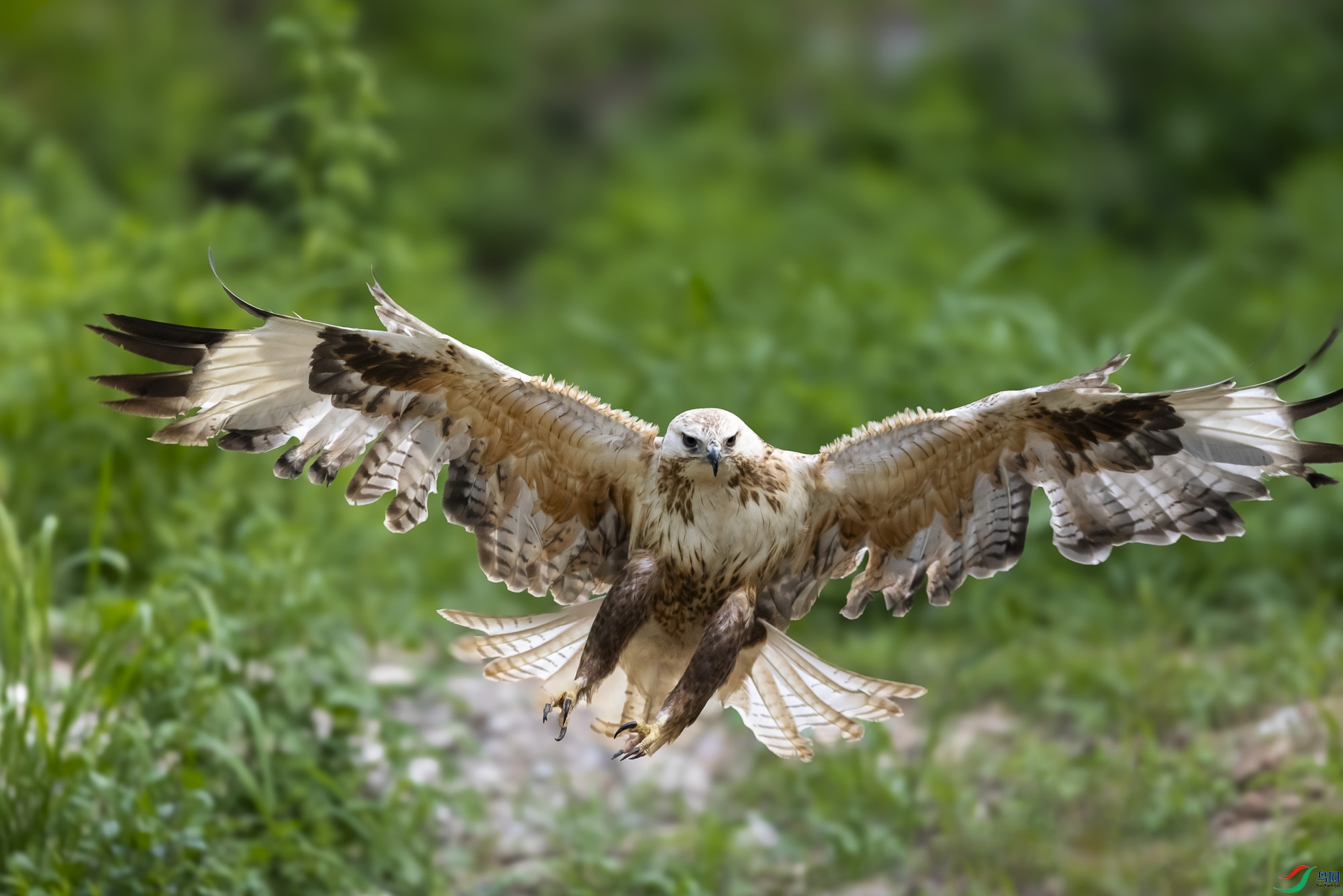 ���\����