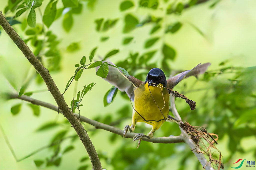 jxwy240522 (167)_DxO.jpg