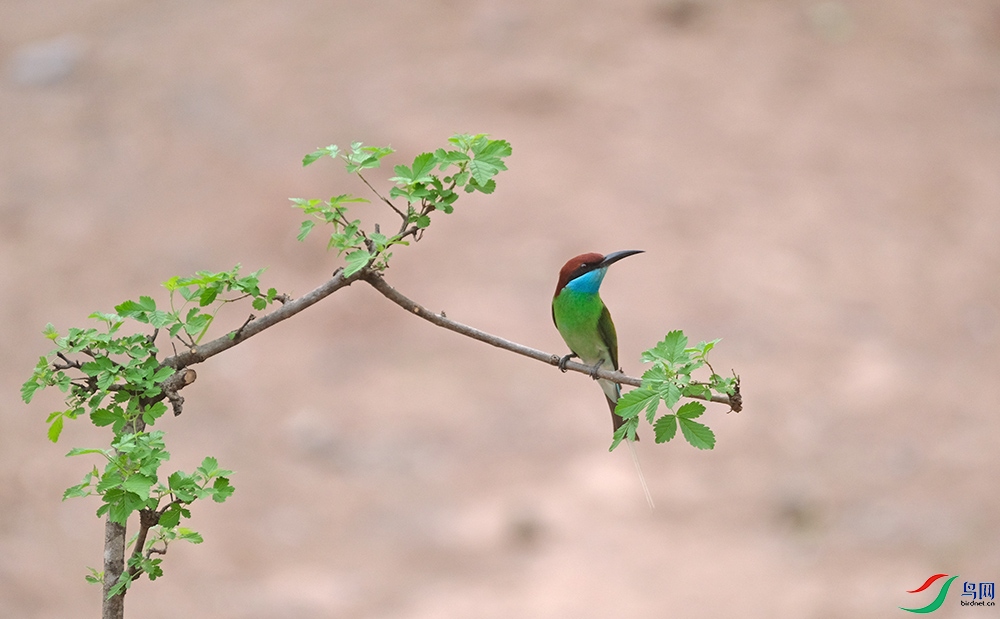 DSCF5276.1.jpg
