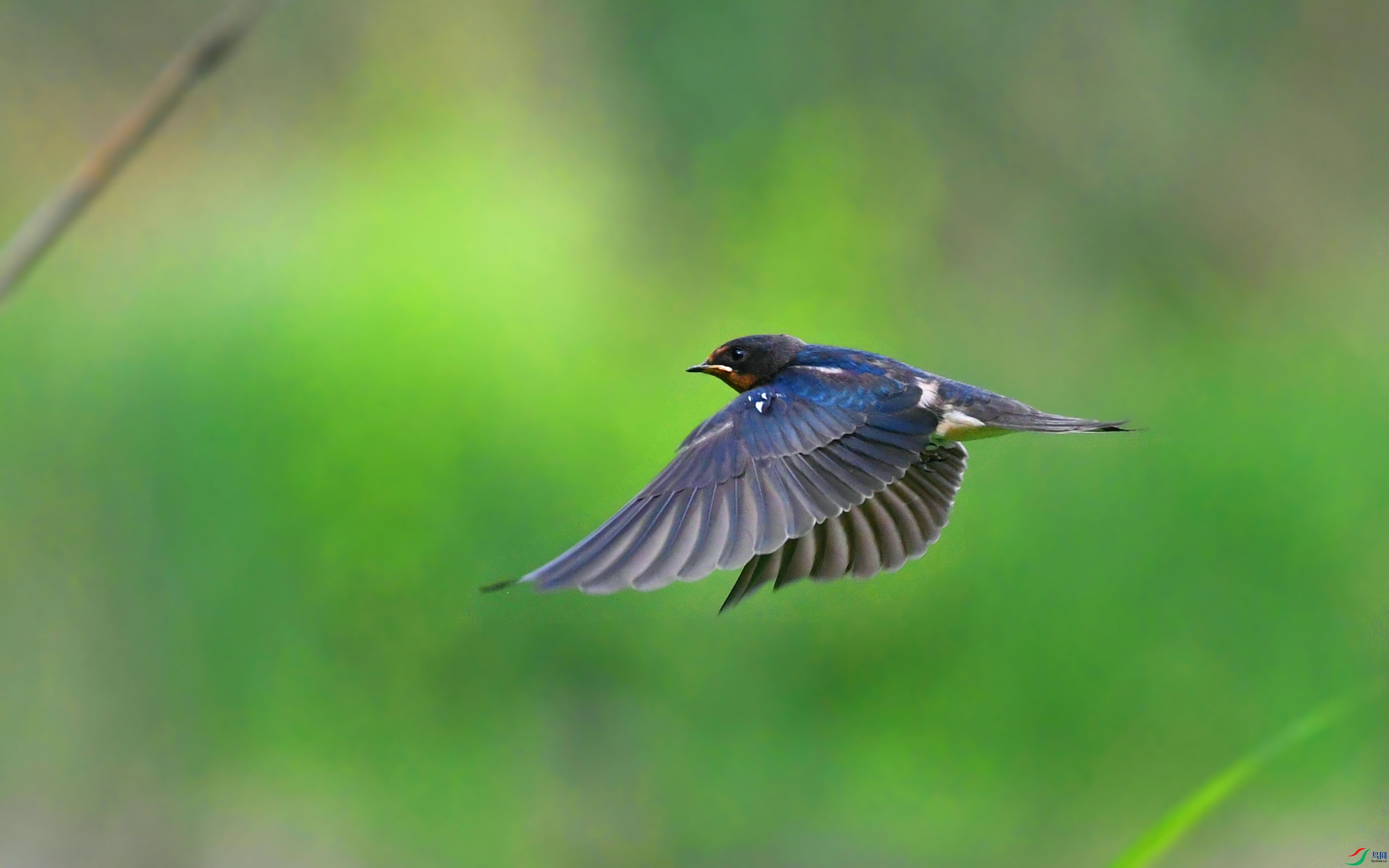 DSC_1925.JPG