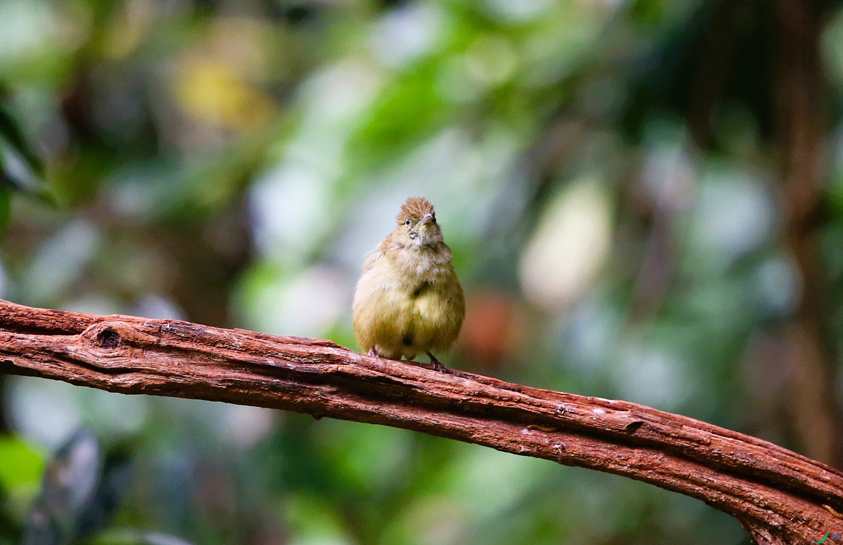 ���۶̽��� (7).JPG