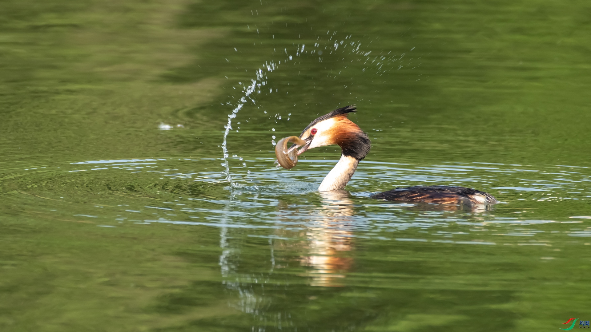 _DSC9788.jpg