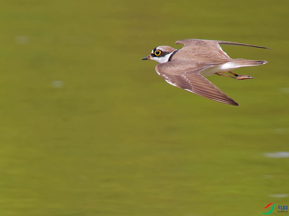 P5300120_DxO - ����.jpg