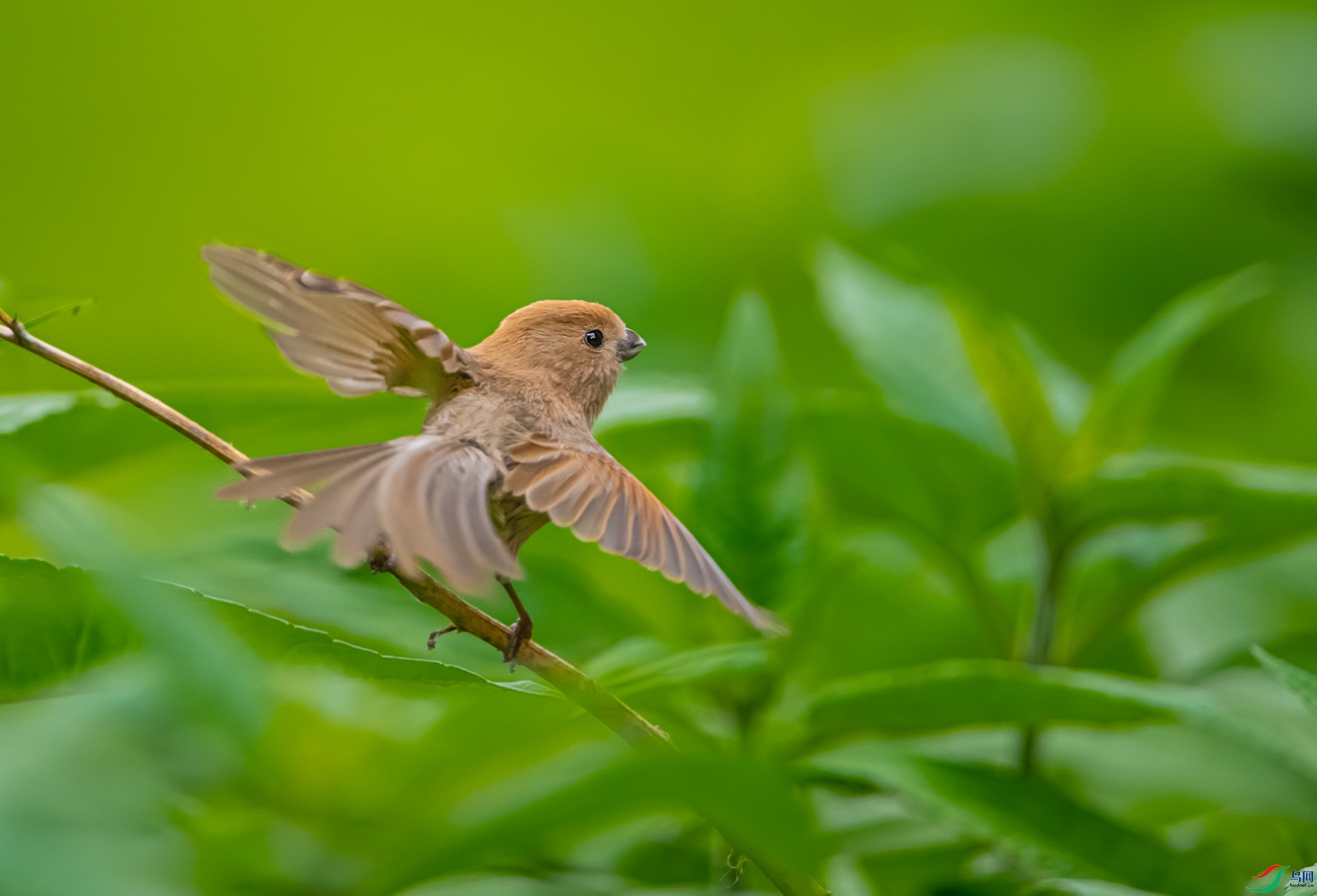DSC_4601-0.jpg