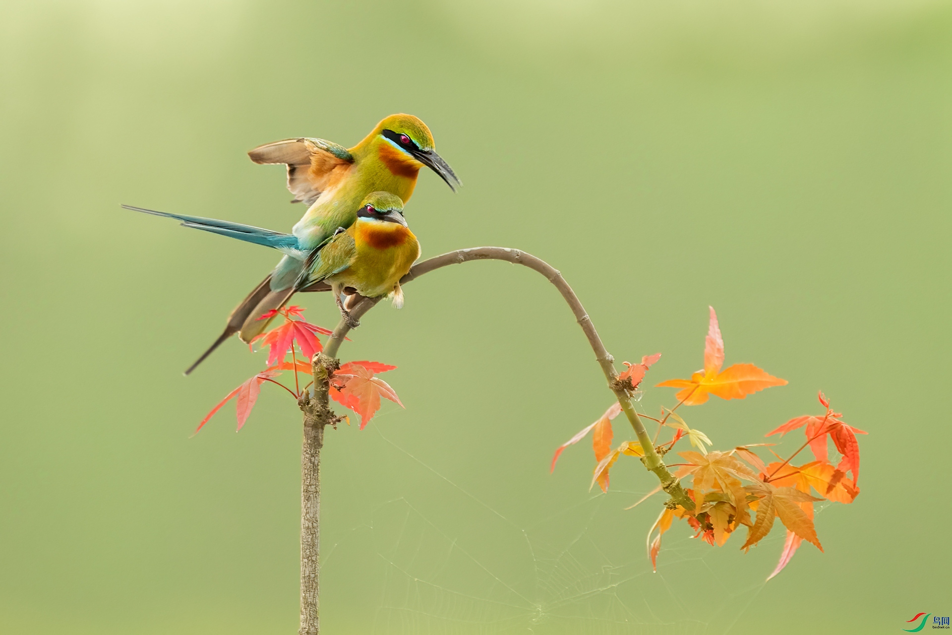 B86I4056 _����.jpg