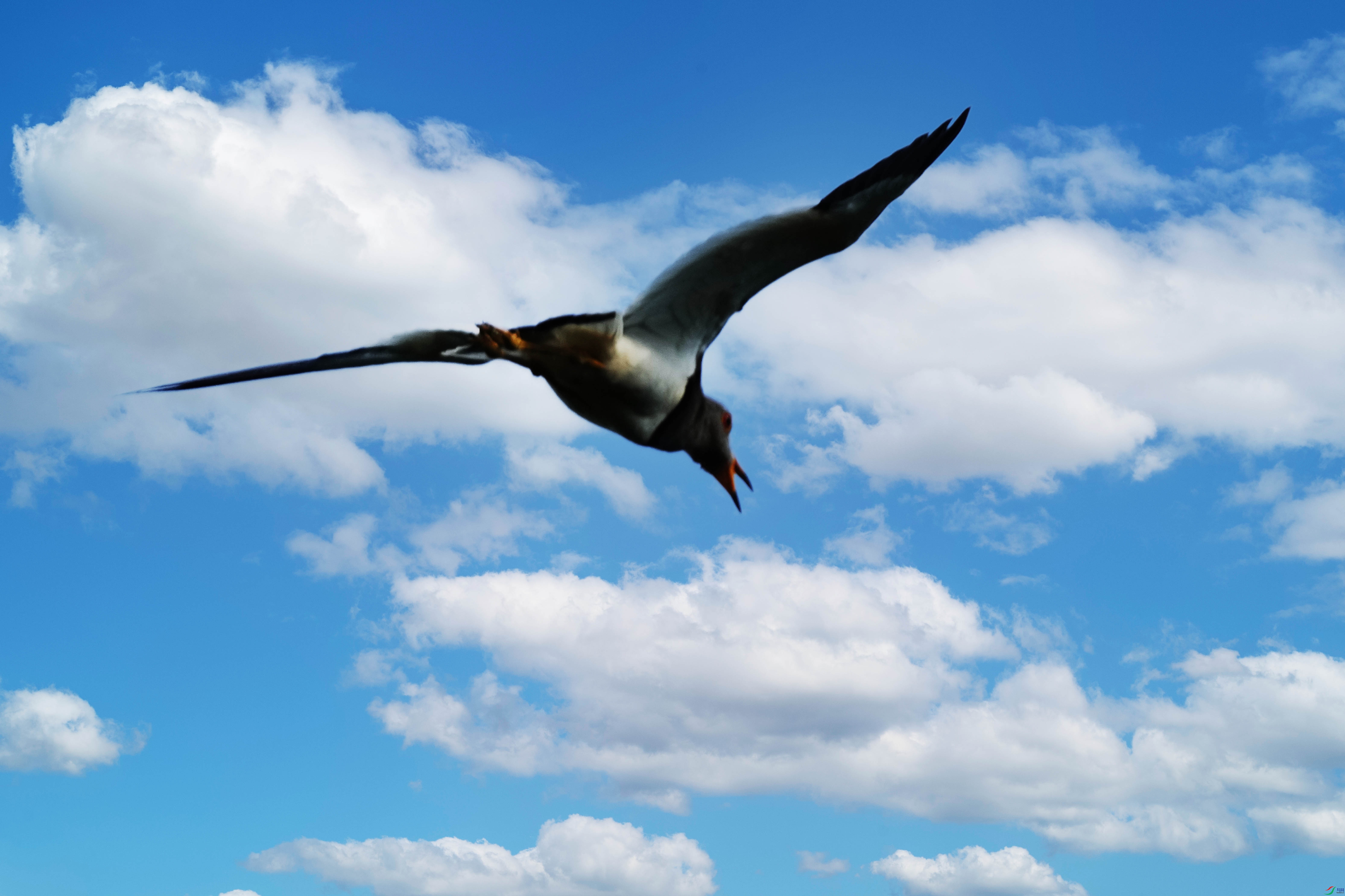 033DSC01402 ����.jpg