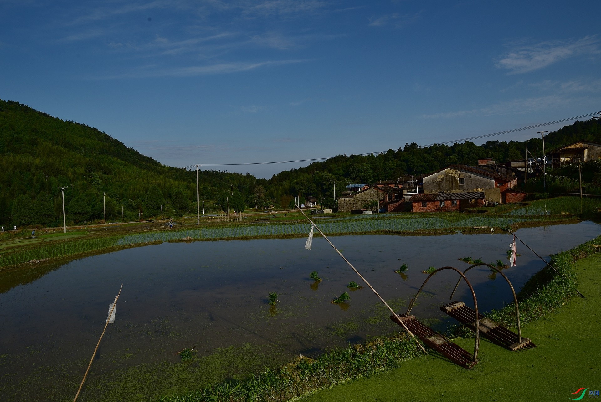 D8I_8356.jpg