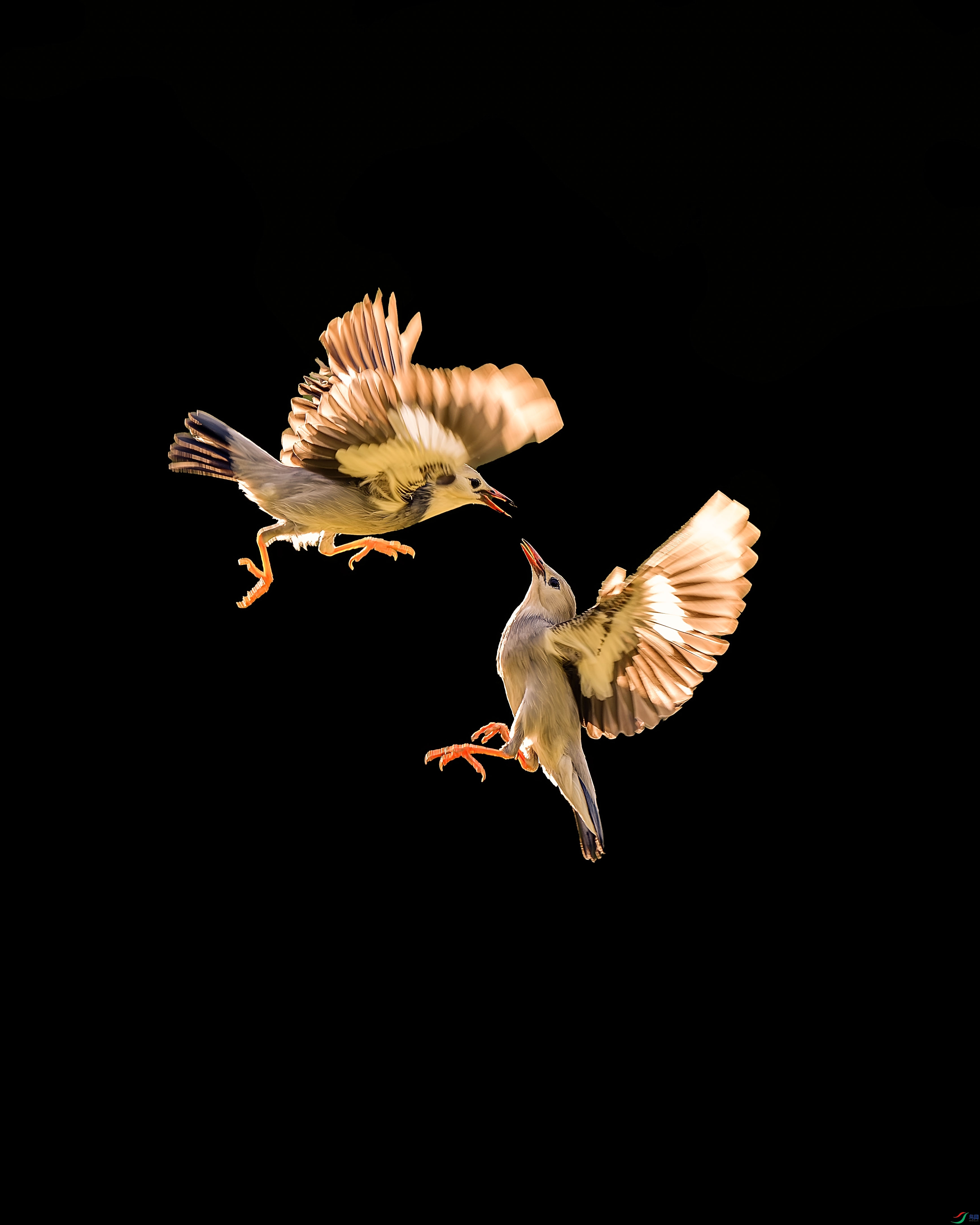 DSC_7980-����ǿ-NR ����3.jpg