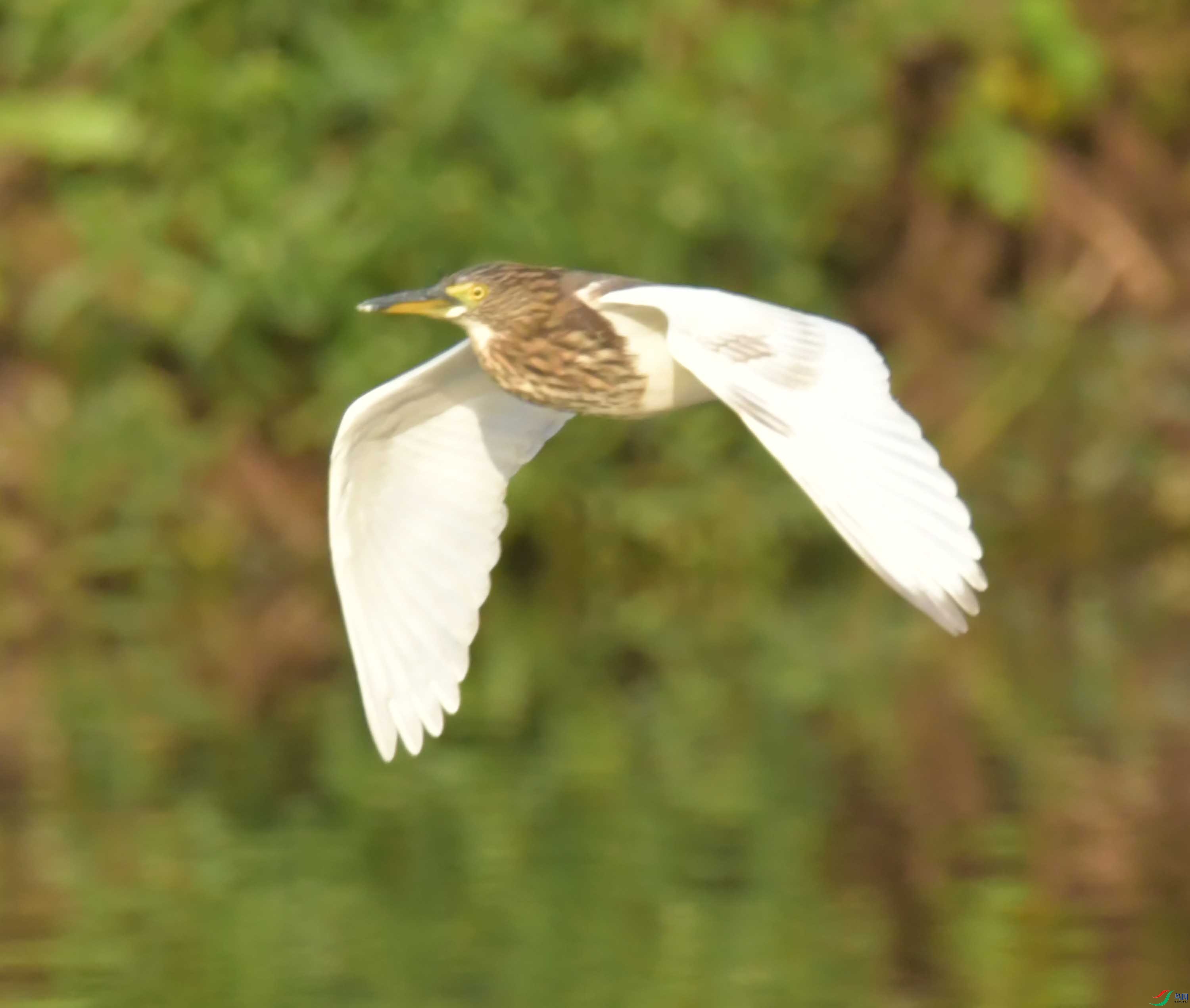 DSC_3344.JPG