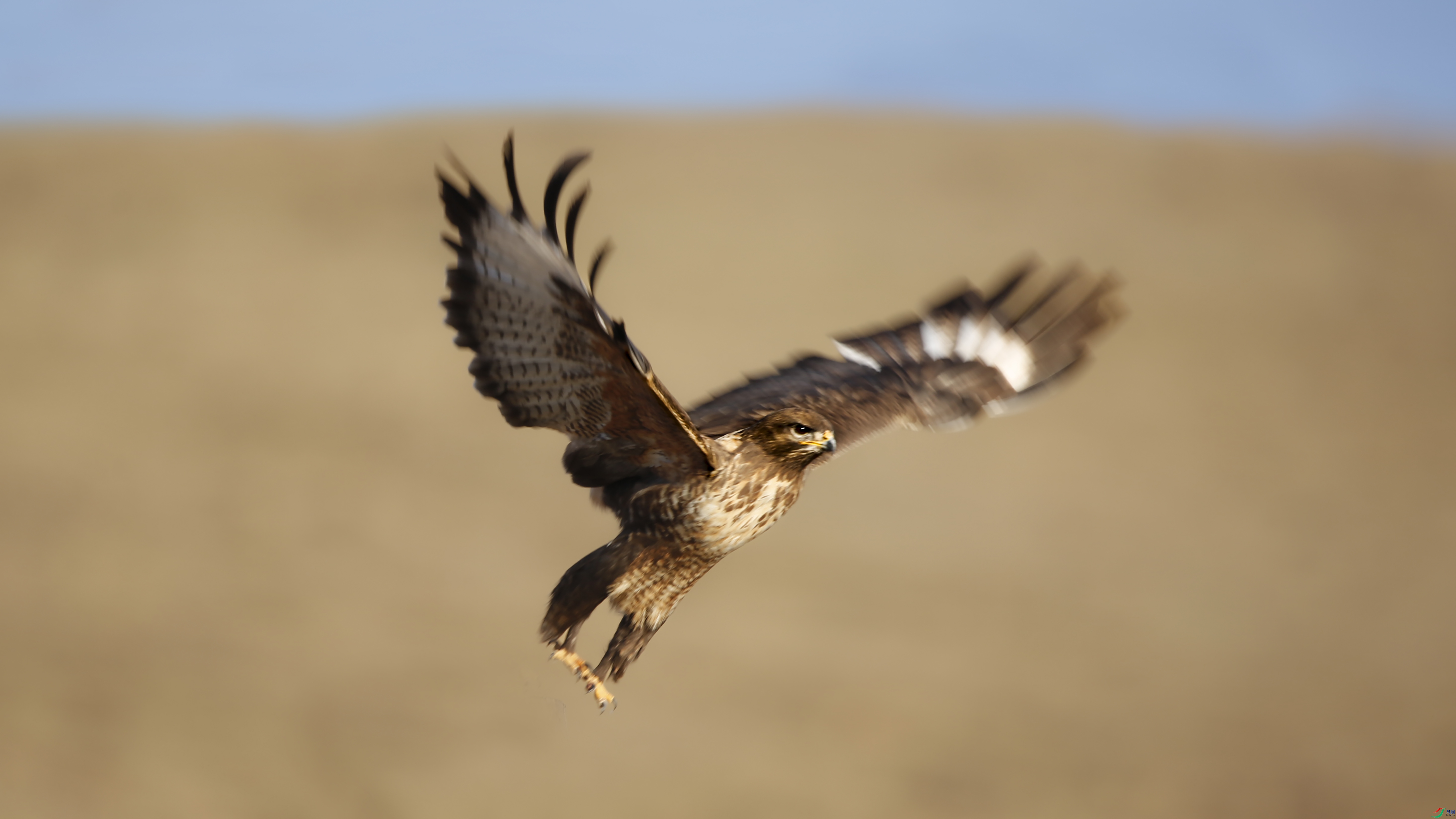 _39A1441 ����.jpg