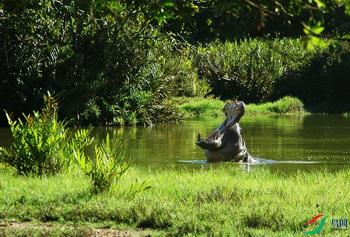 DSC_9039.jpg