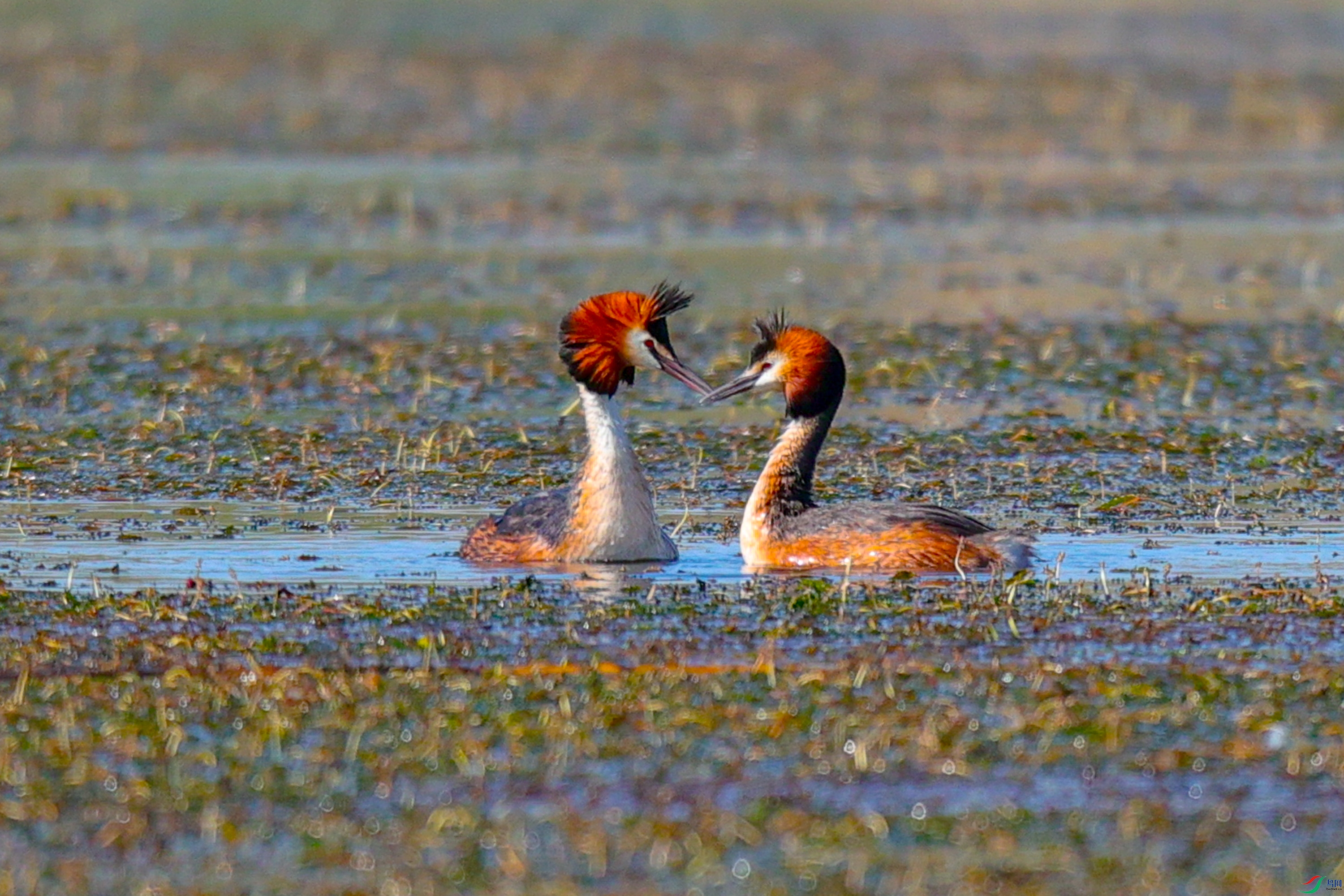 ����˽�� 2